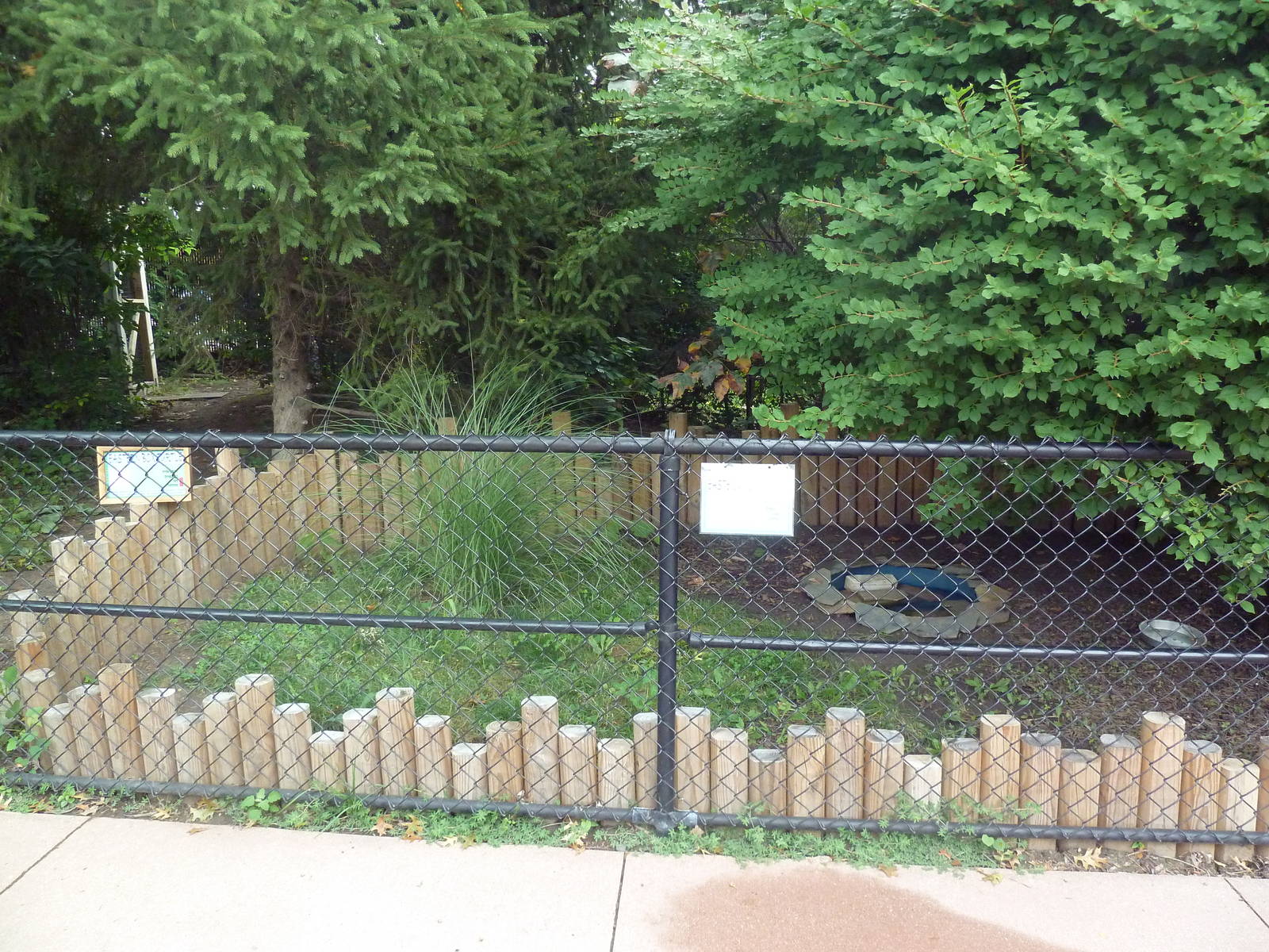 Eastern Box Turtle Exhibit