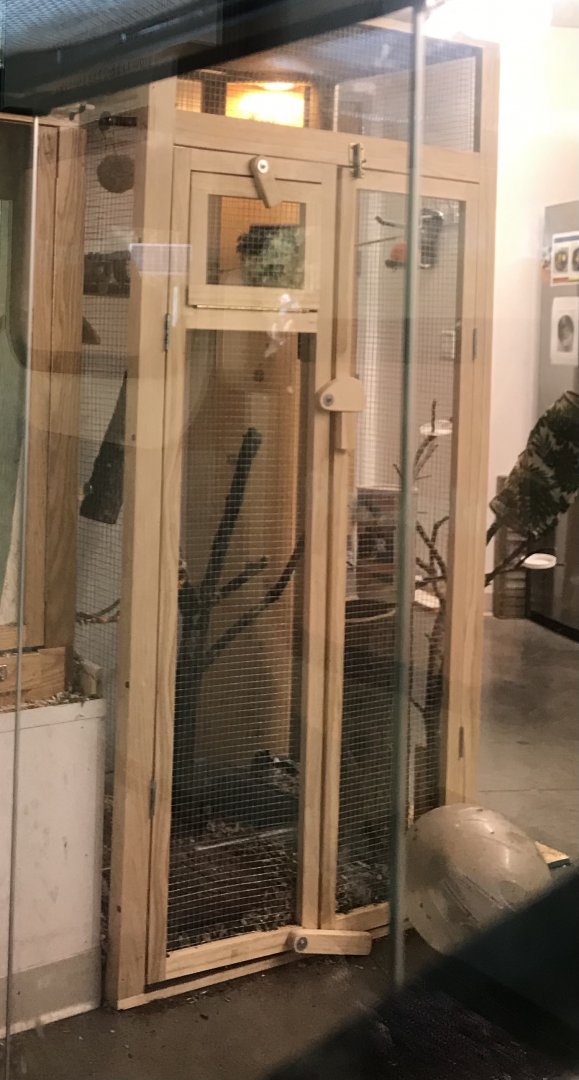 Eastern Chipmunk Exhibit