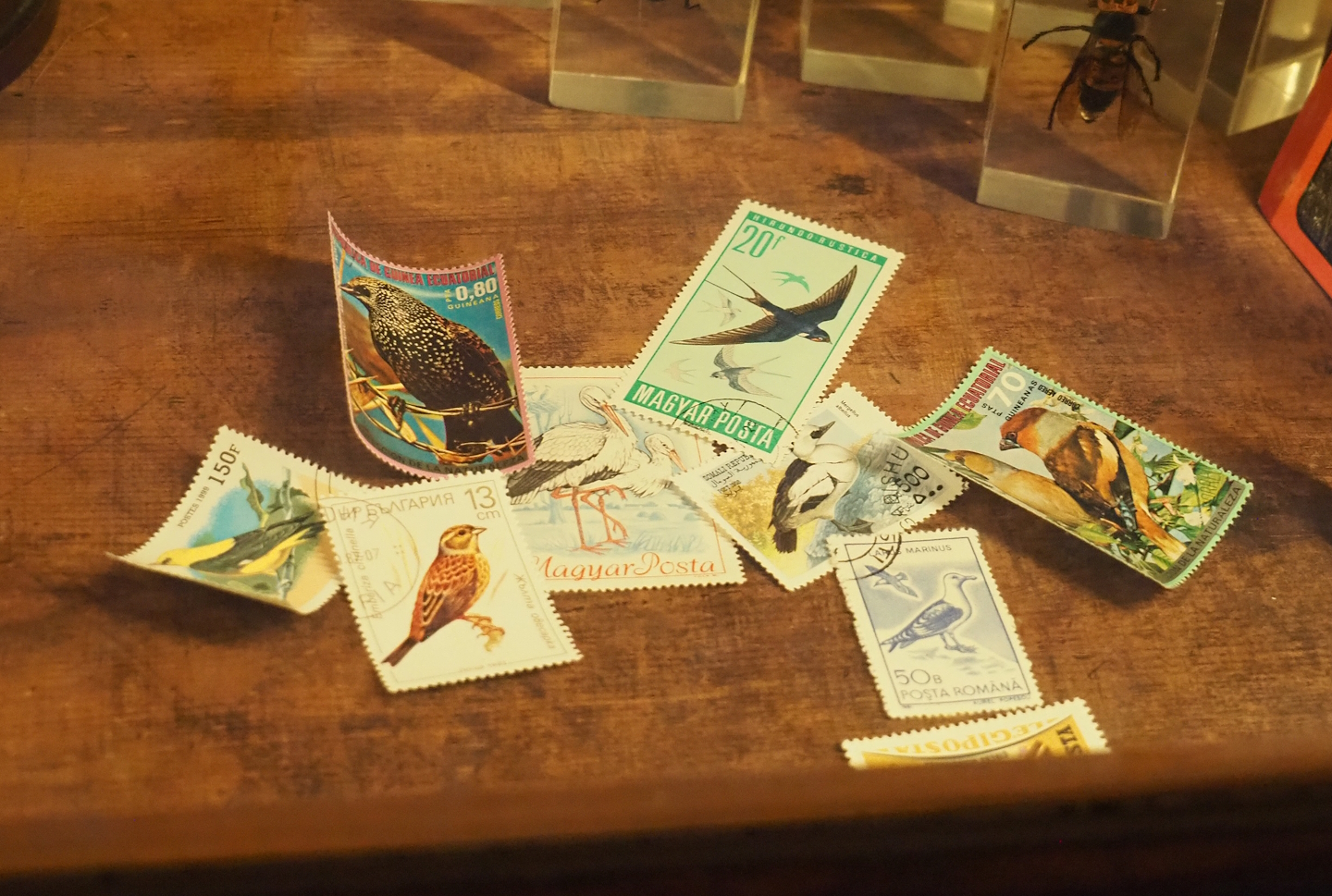 Eastern European postage stamps with birds, 2023-09-24