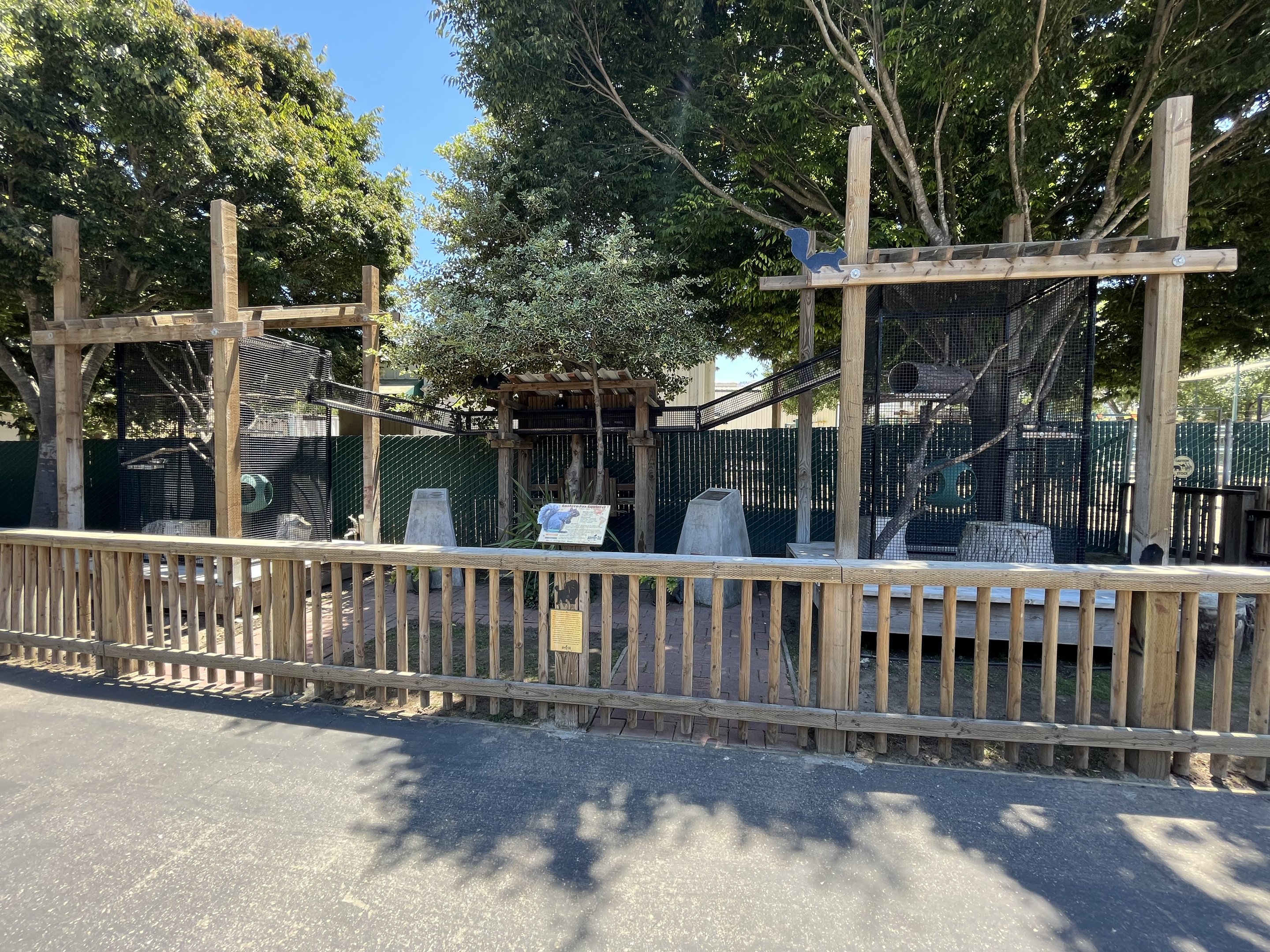 Eastern Fox Squirrel Exhibit