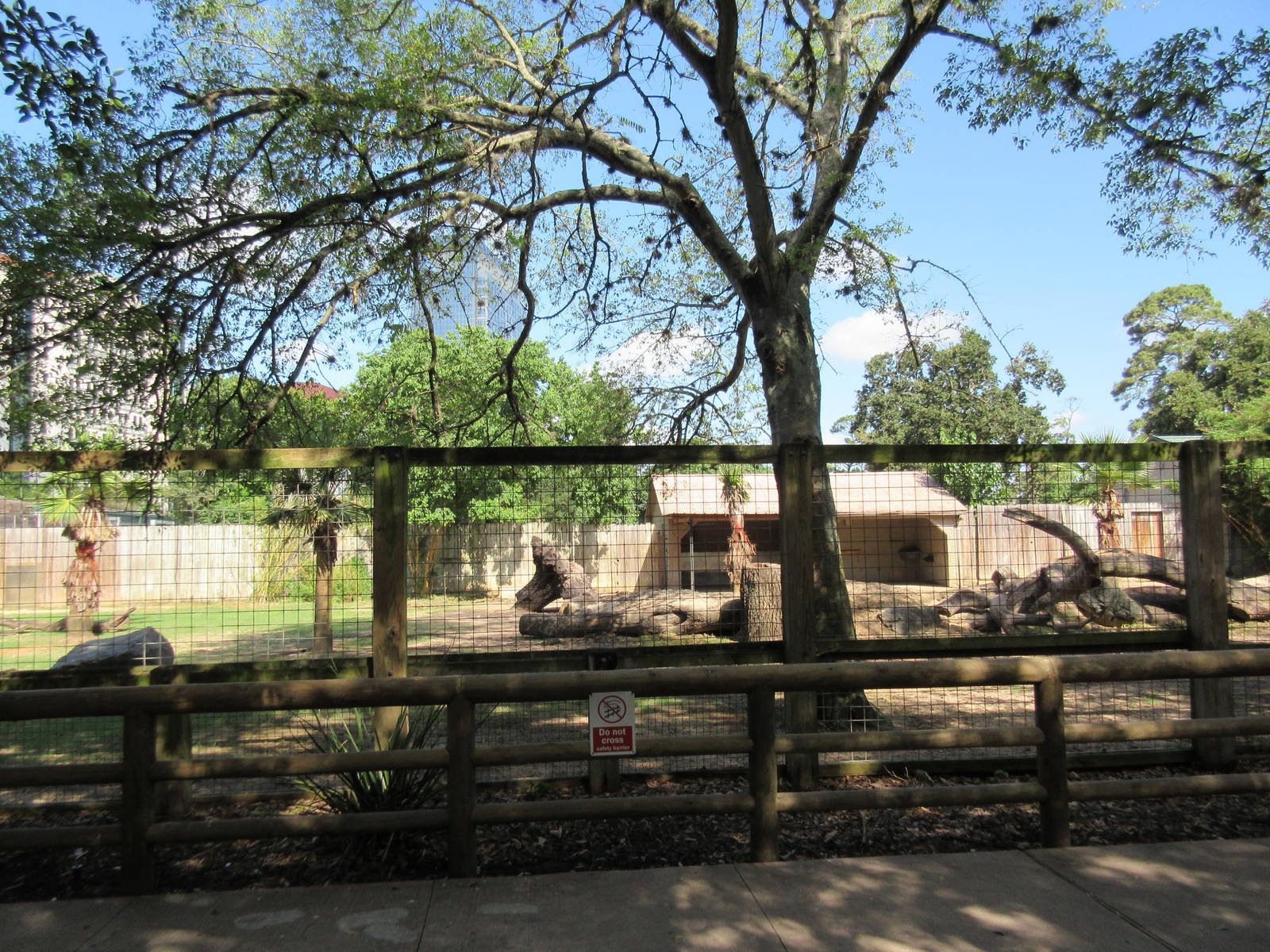 Eastern Giant Eland/Marabou Stork Exhibit