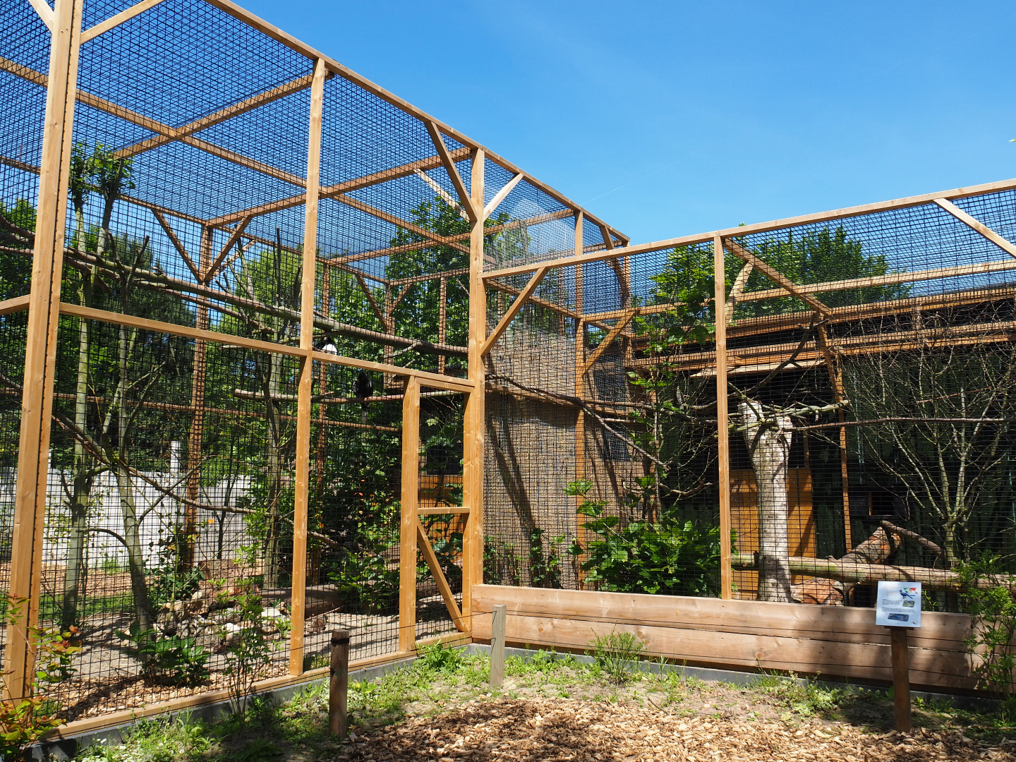 Eastern grey-cheeked hornbill and Purple-crested turaco aviaries, 2019-06-01