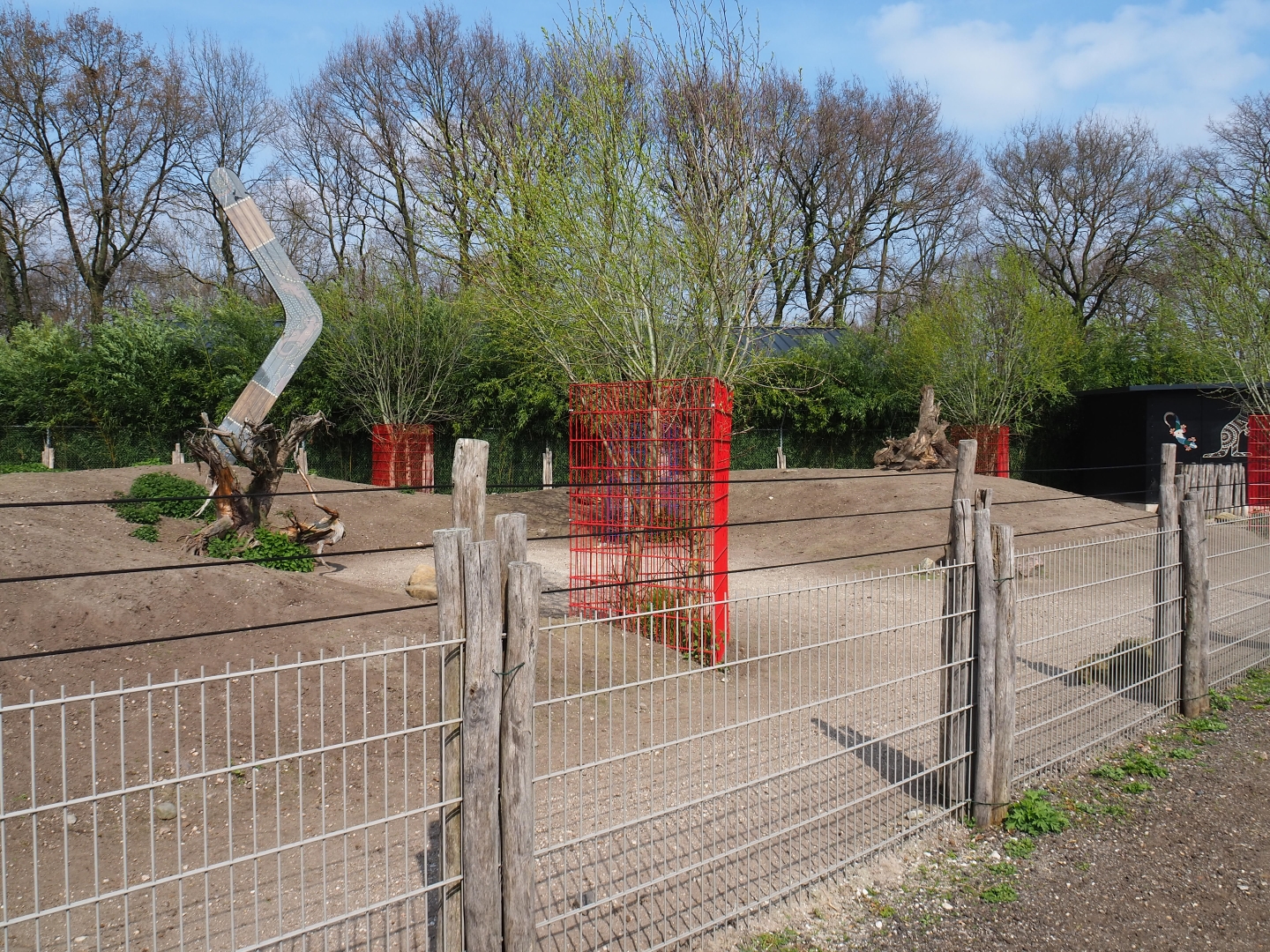 Eastern grey kangaroo and red-necked wallaby paddock, 2019-04-06