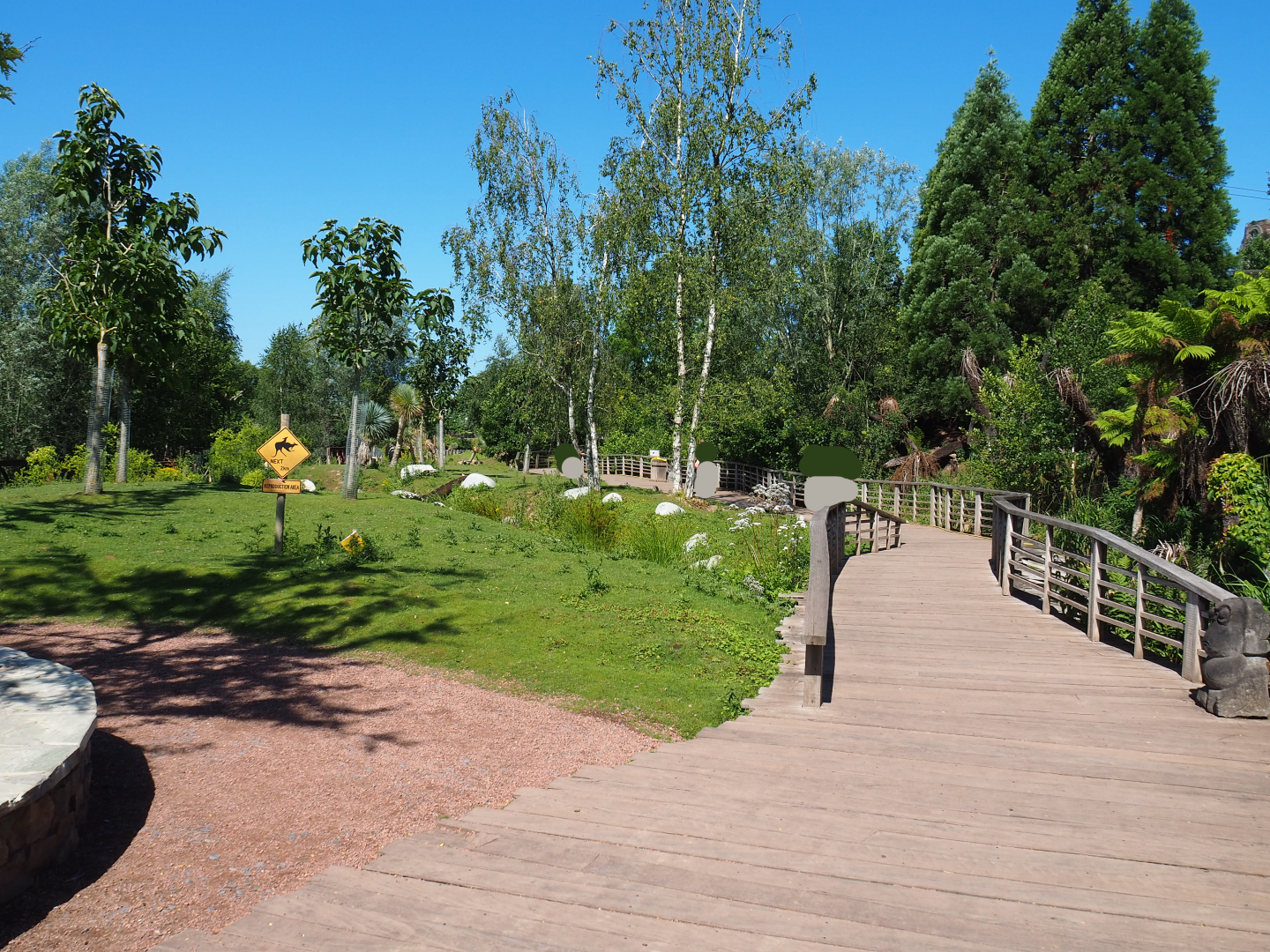 Eastern grey kangaroo, Red kangaroo, Swamp wallaby and Emu walk-through area, 2022-06-28