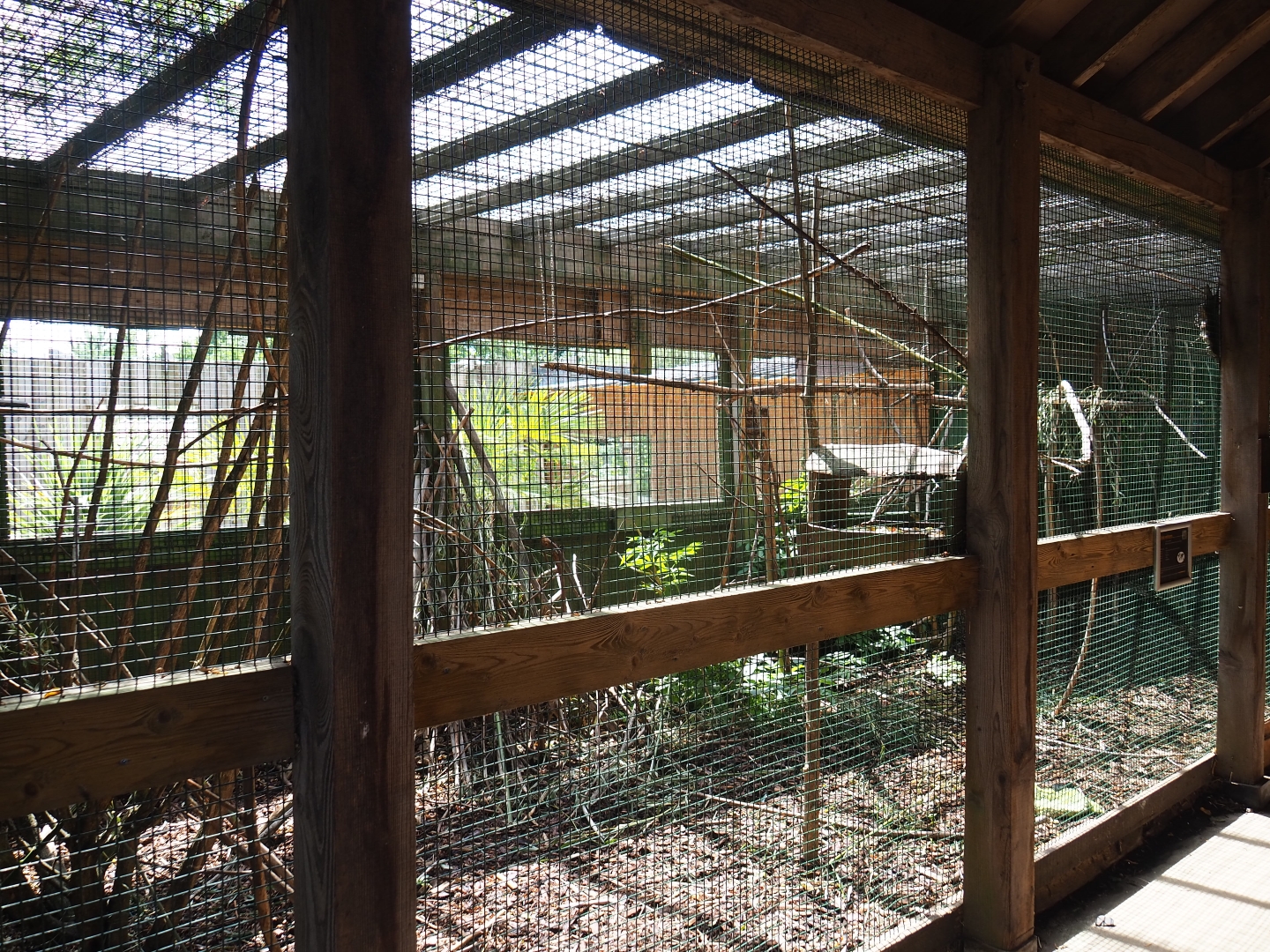 Eastern grey squirrel (Sciurus carolinensis) cage