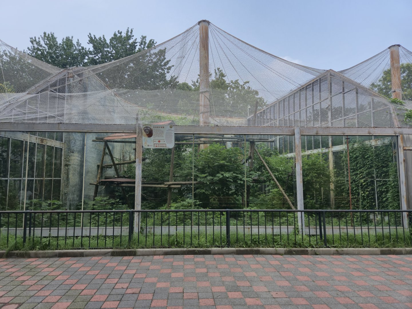 Eastern Hoolock Gibbon exhibit