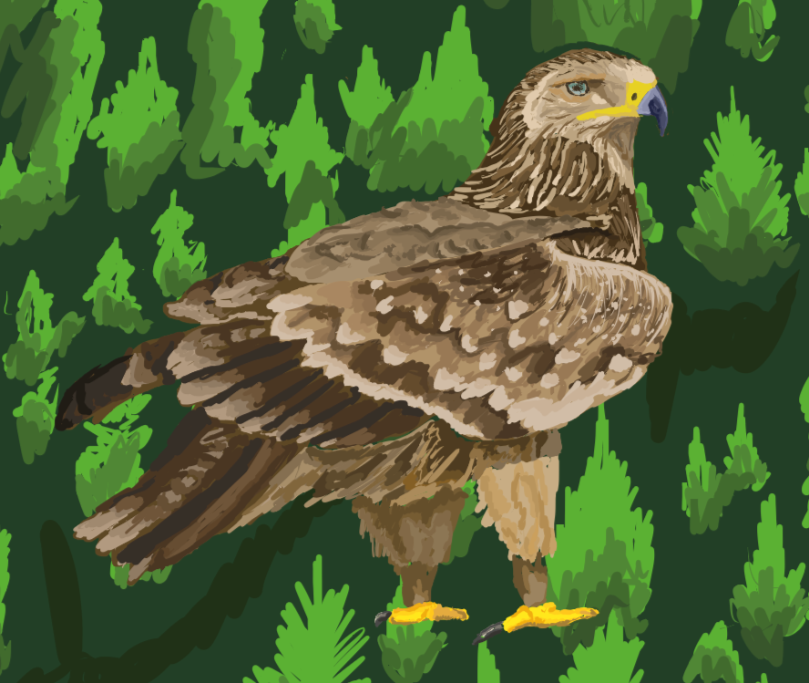 Eastern imperial eagle