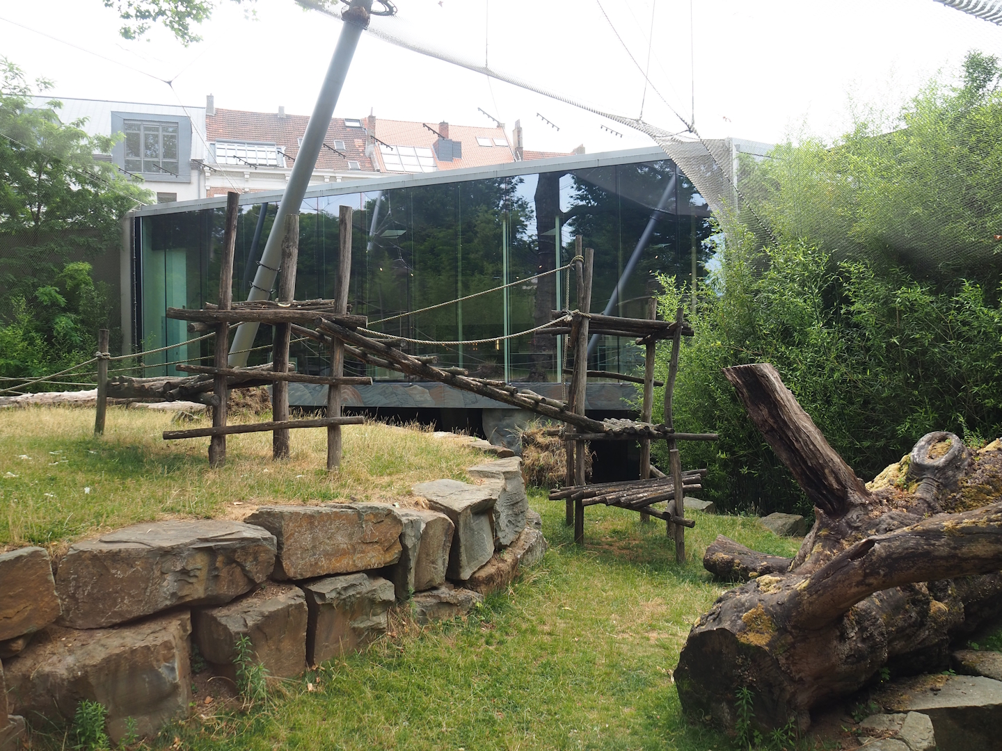 Eastern lowland gorilla and Western lowland gorilla exhibit, 2023-07-02