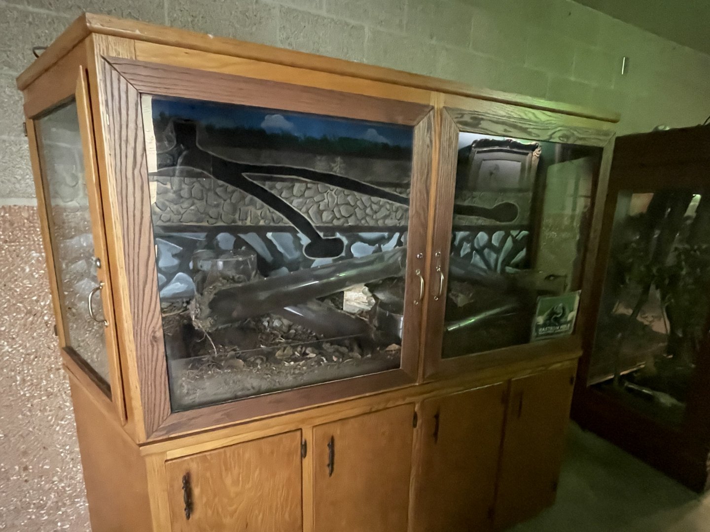 Eastern Mole Exhibit