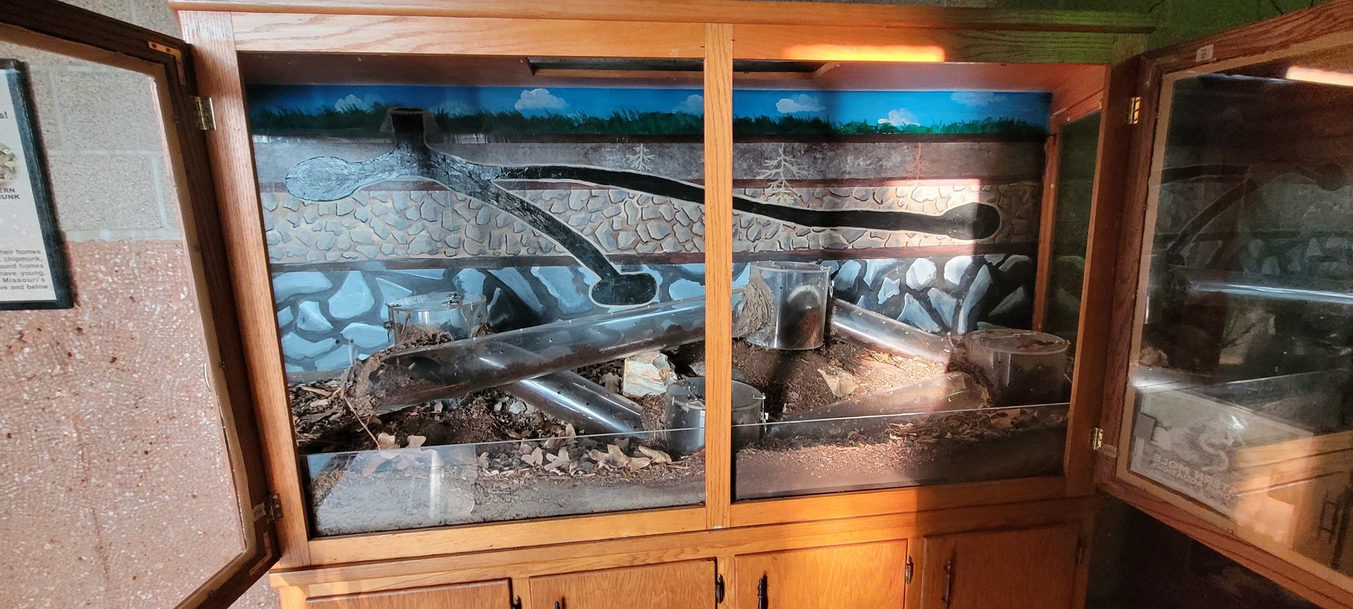 Eastern Mole Exhibit