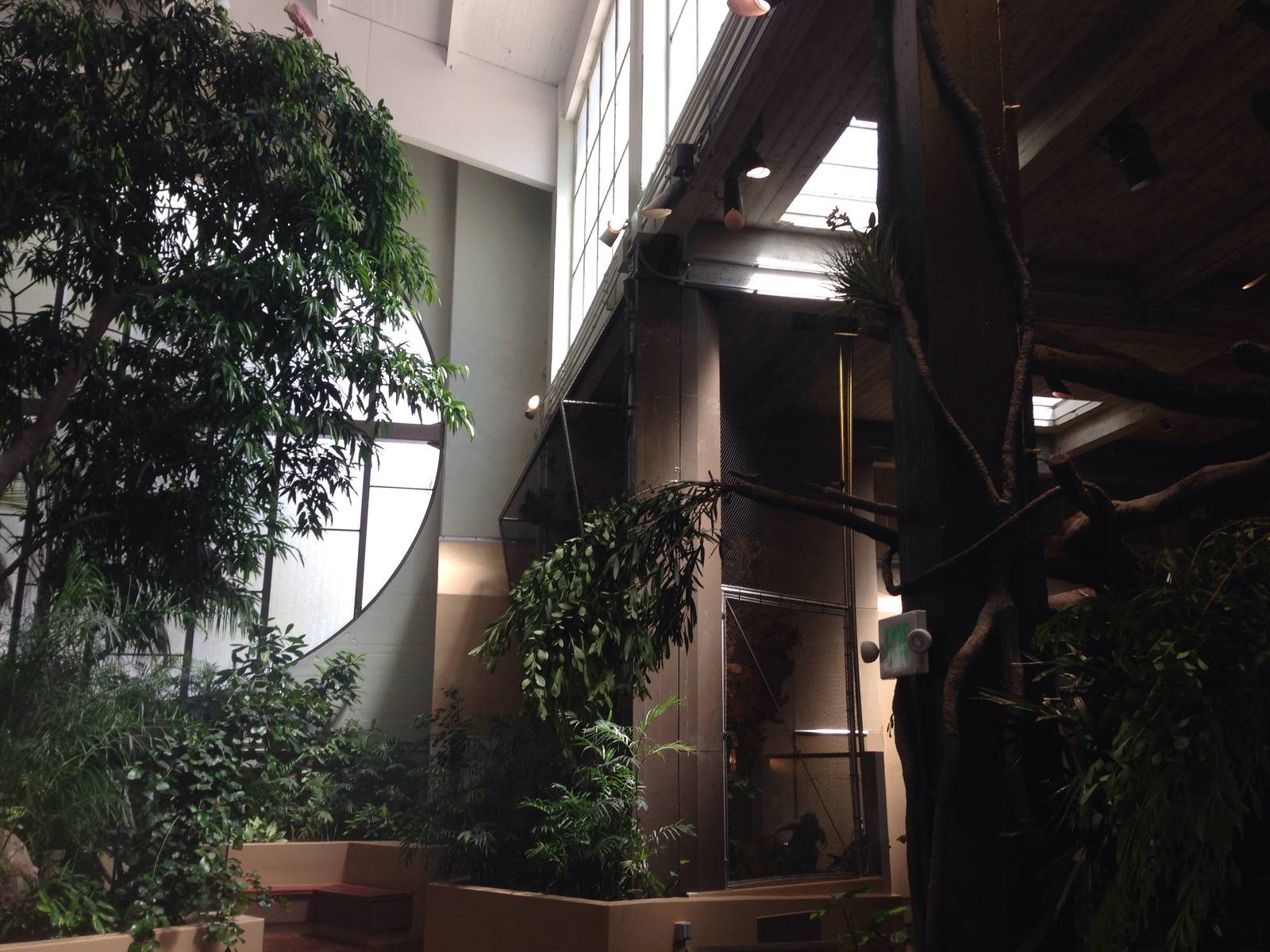 Eastern portion of the building. Behind the pillar is a netted habitat for