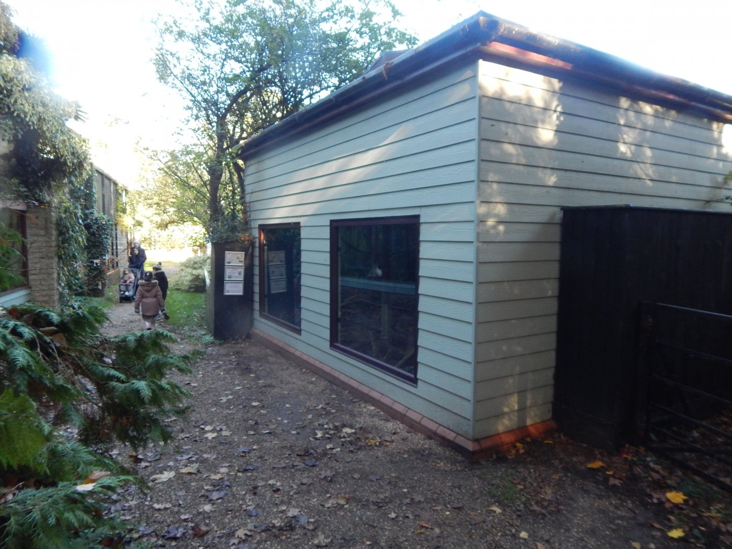 Eastern quoll enclosure 011125