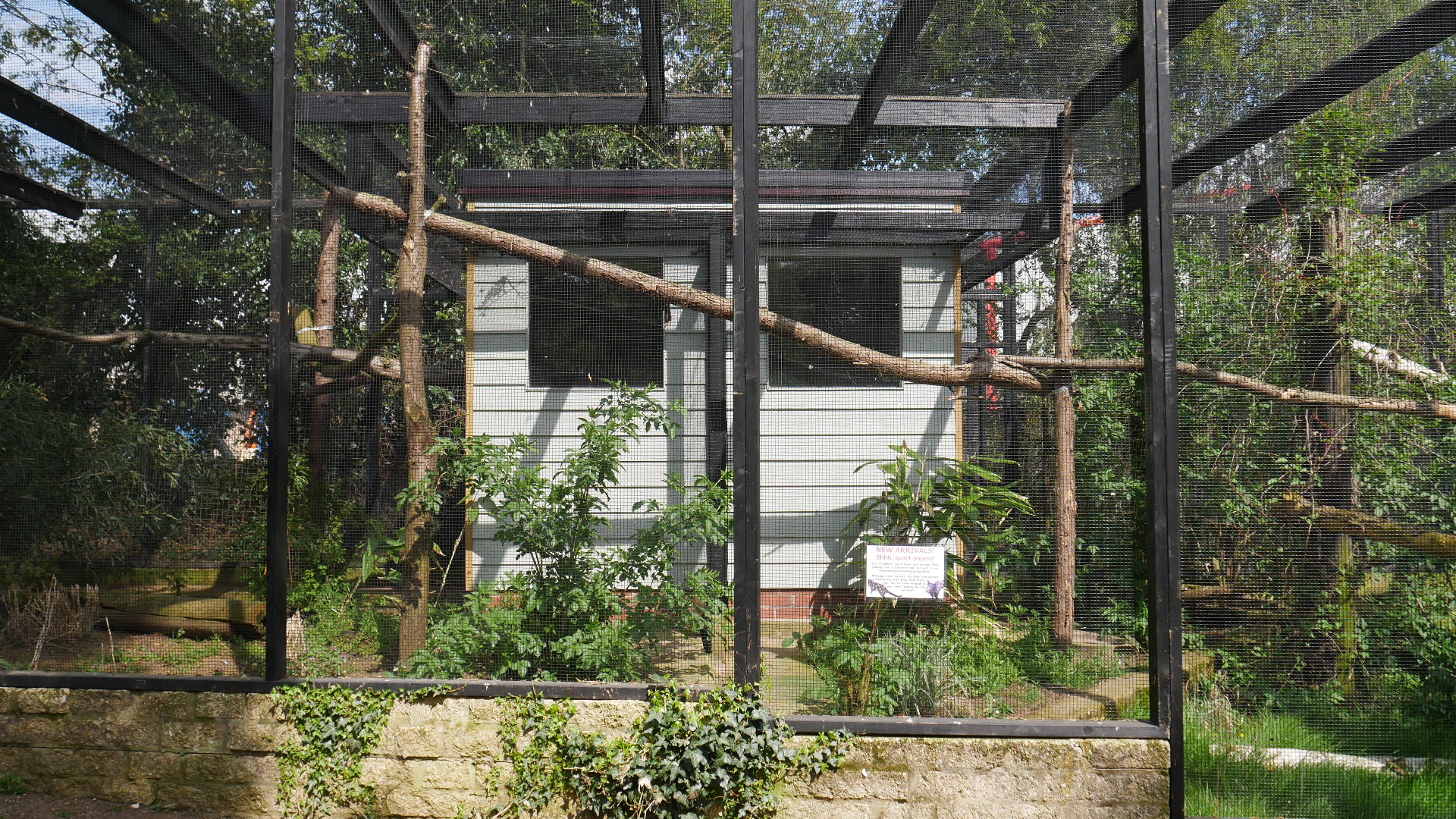 Eastern Quoll Enclosure @ Linton Zoo