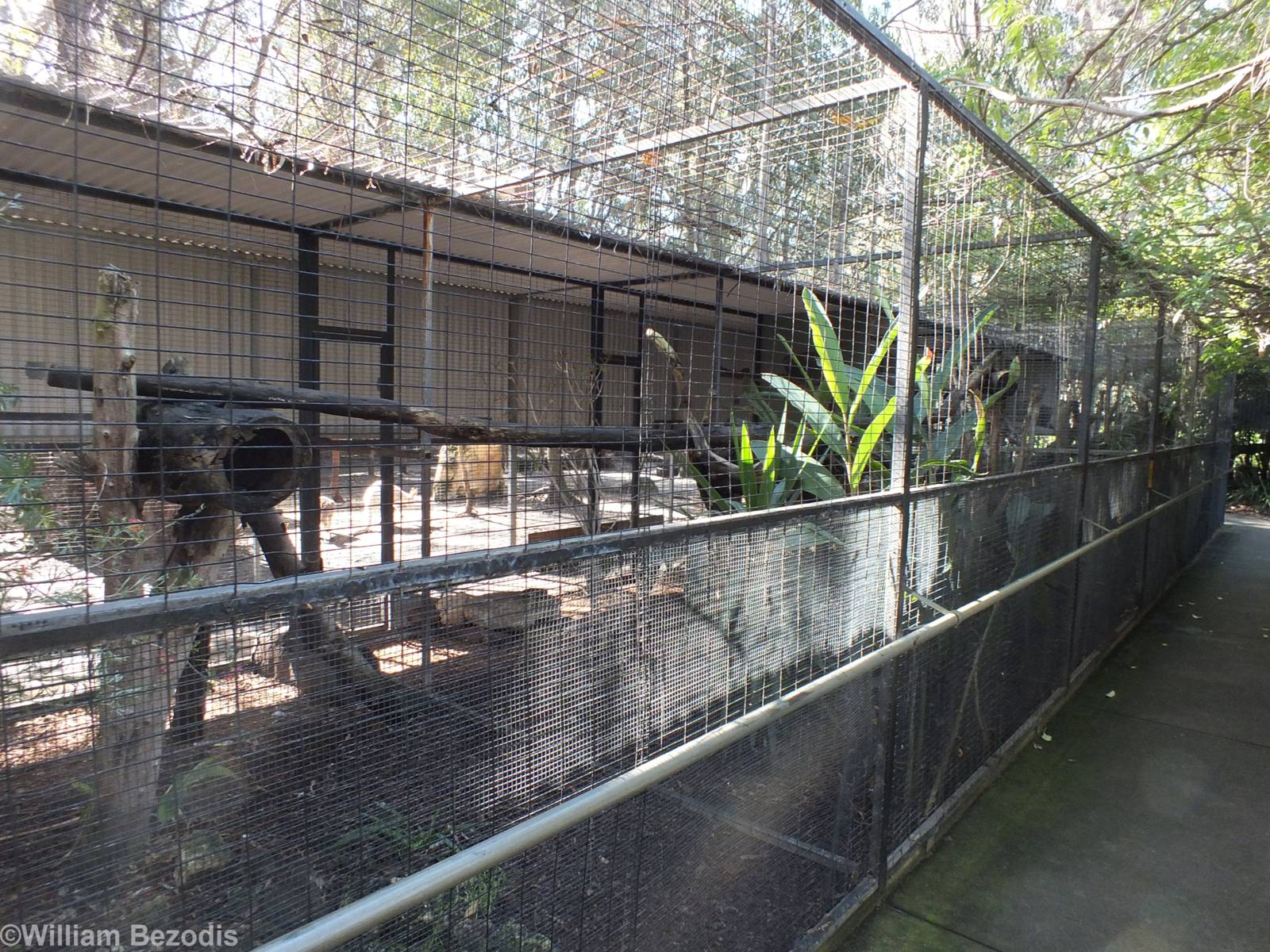 Eastern Quoll Enclosure