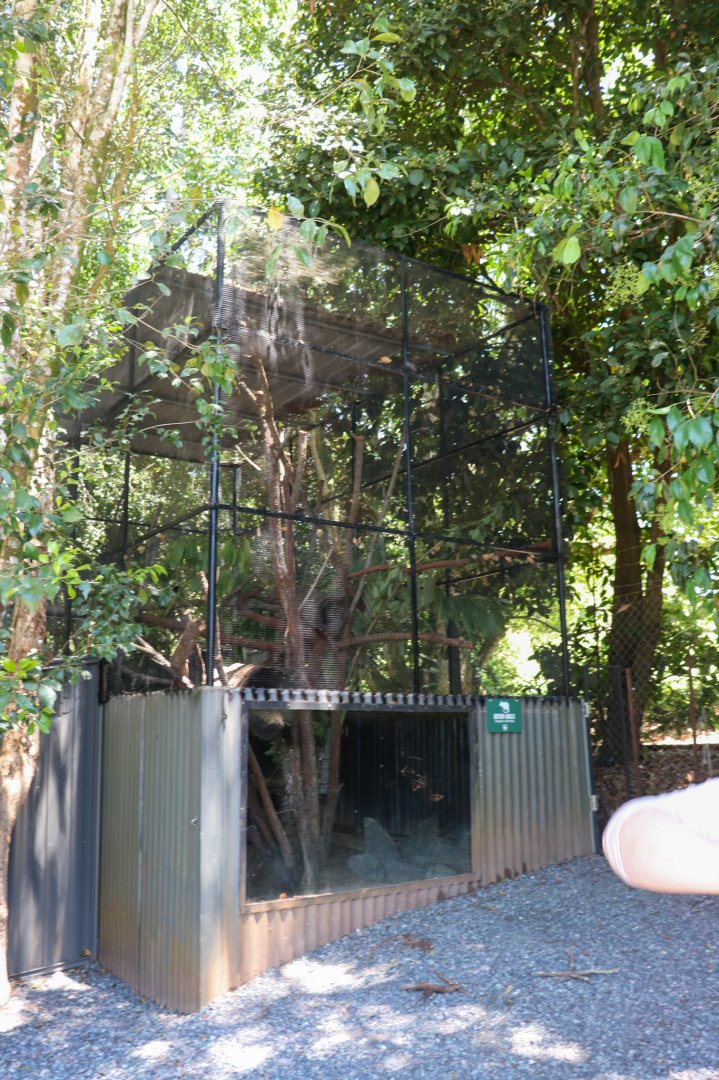 Eastern Quoll Enclosure