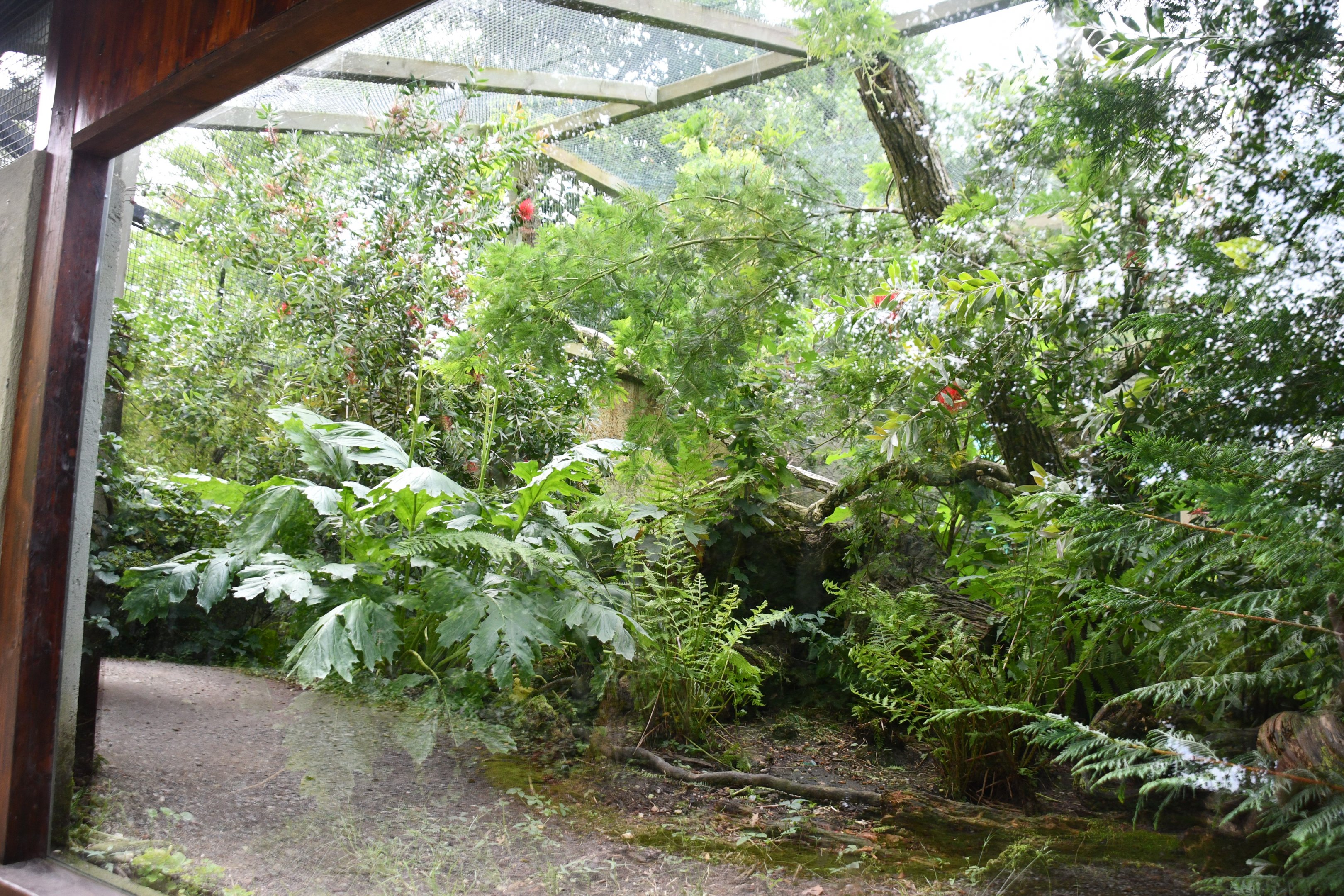 Eastern Quoll exhibit