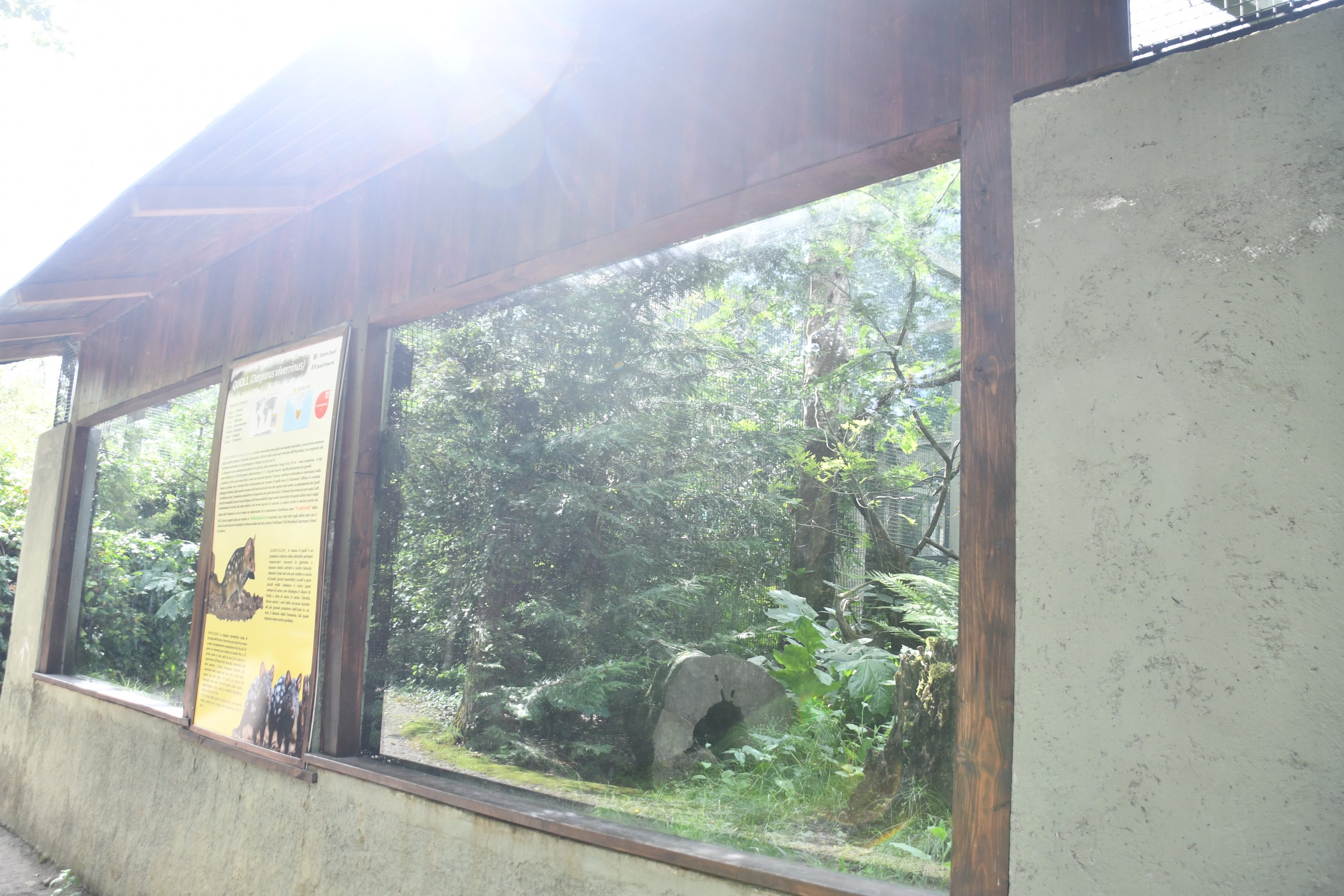 Eastern Quoll exhibits