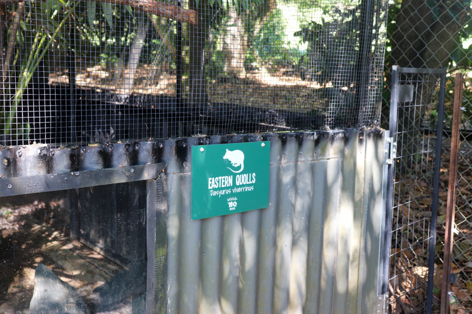 Eastern Quoll Sign
