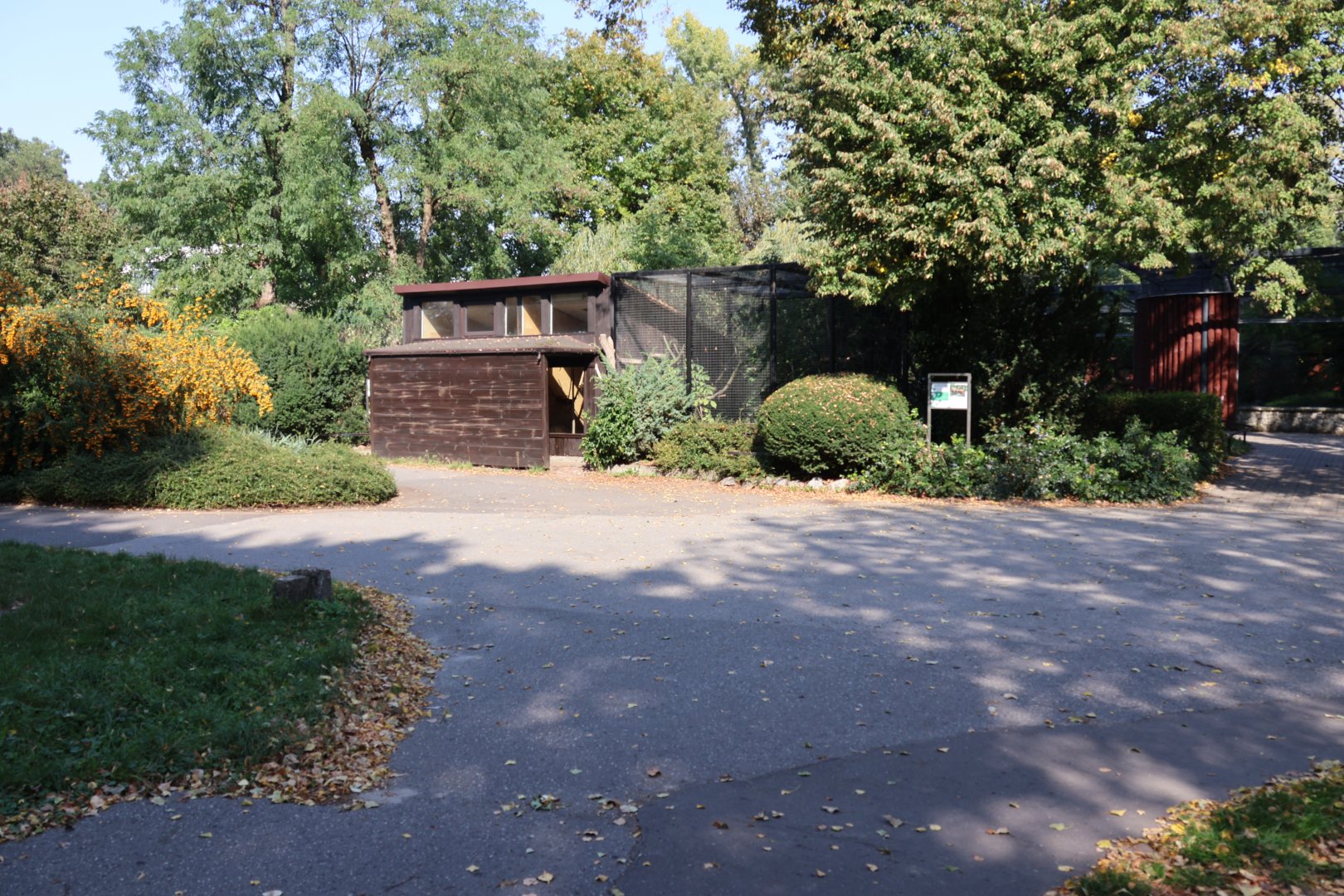 Eastern Ring-tailed vontsira enclosure