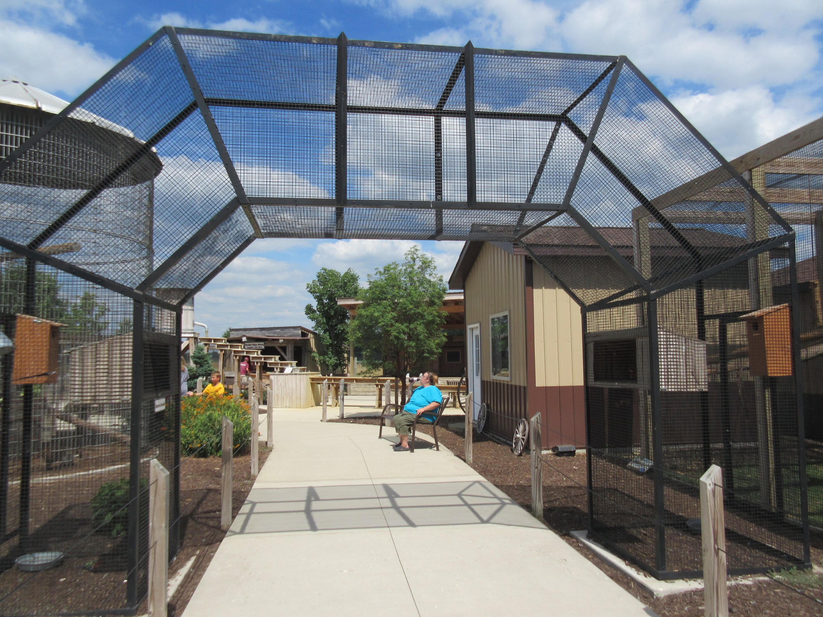 Eastern Rosella Exhibit