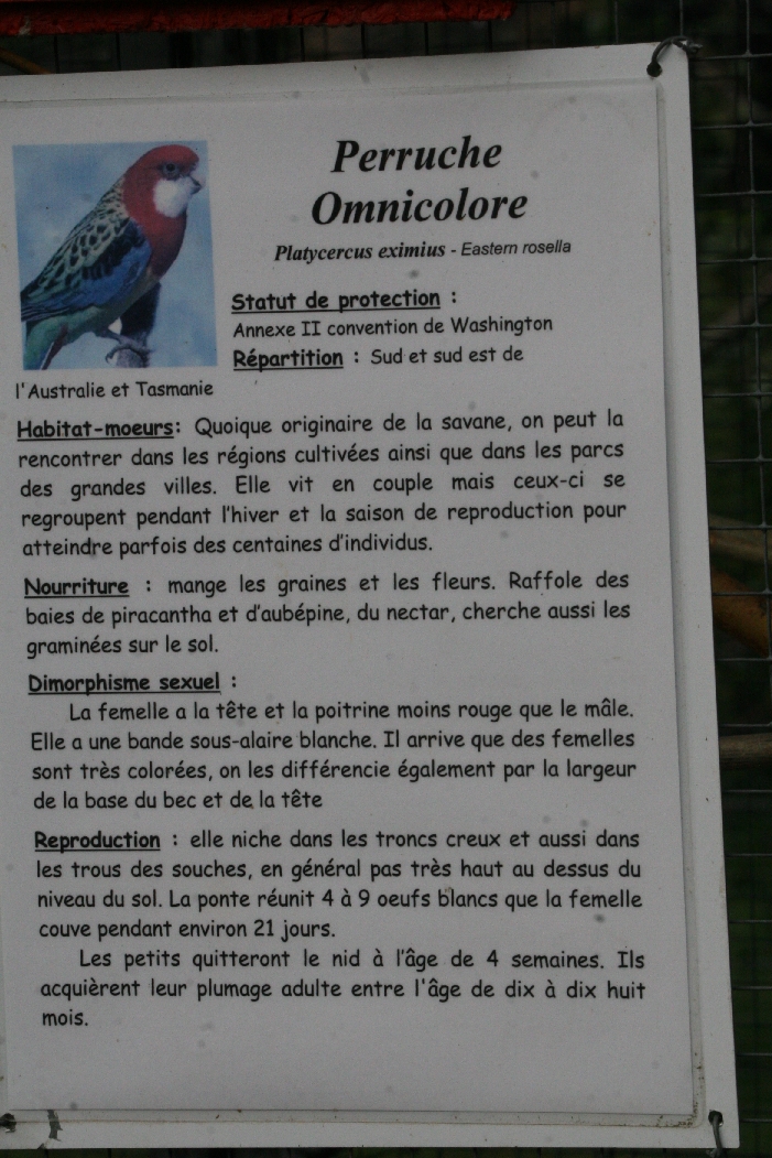 Eastern Rosella Signage