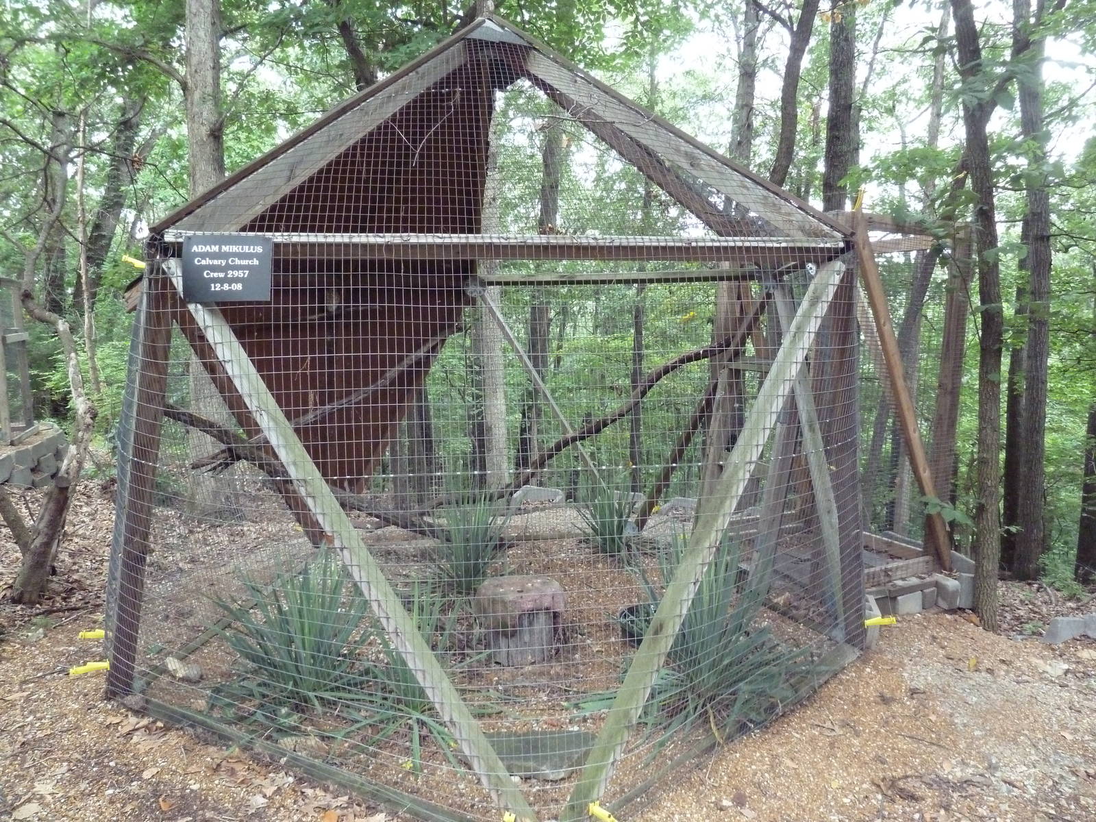 Eastern Screech Owl Aviary