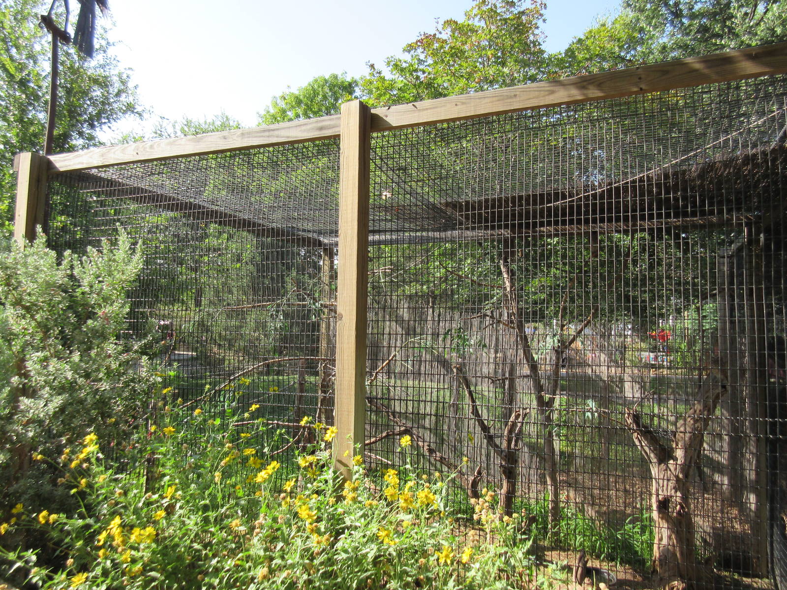 Eastern Screech Owl/Burrowing Owl Exhibit