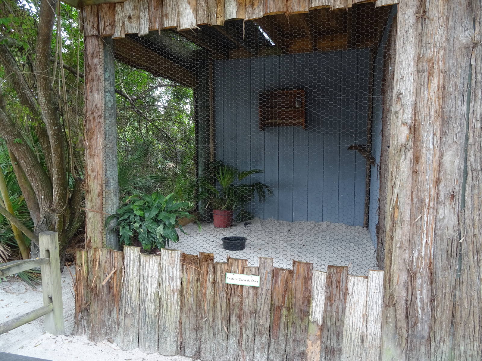 Eastern Screech Owl Exhibit at Gatorland