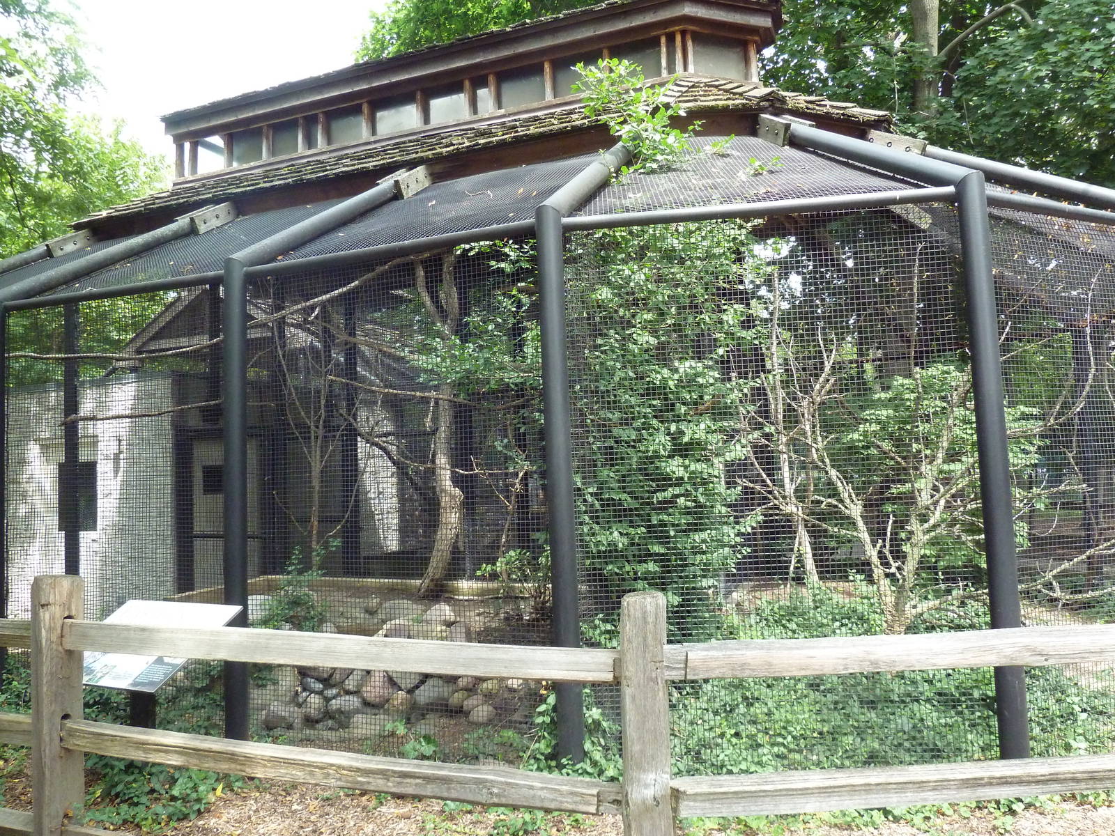 Eastern Screech Owl Exhibit
