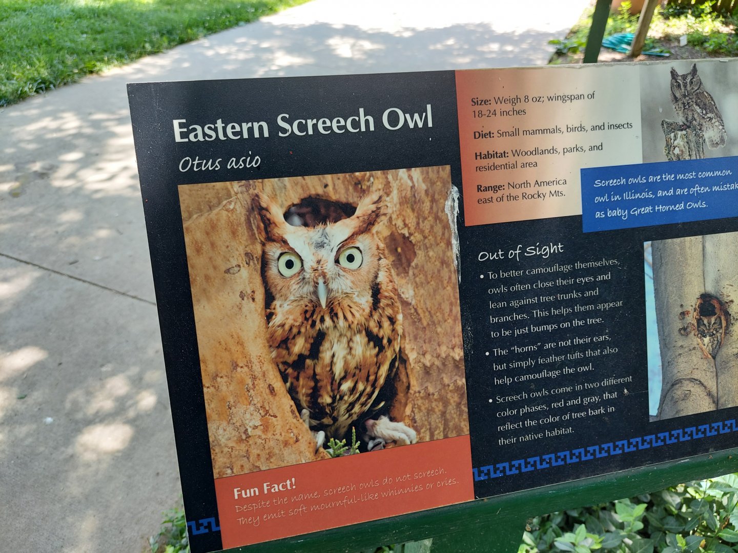 Eastern Screech Owl Signage