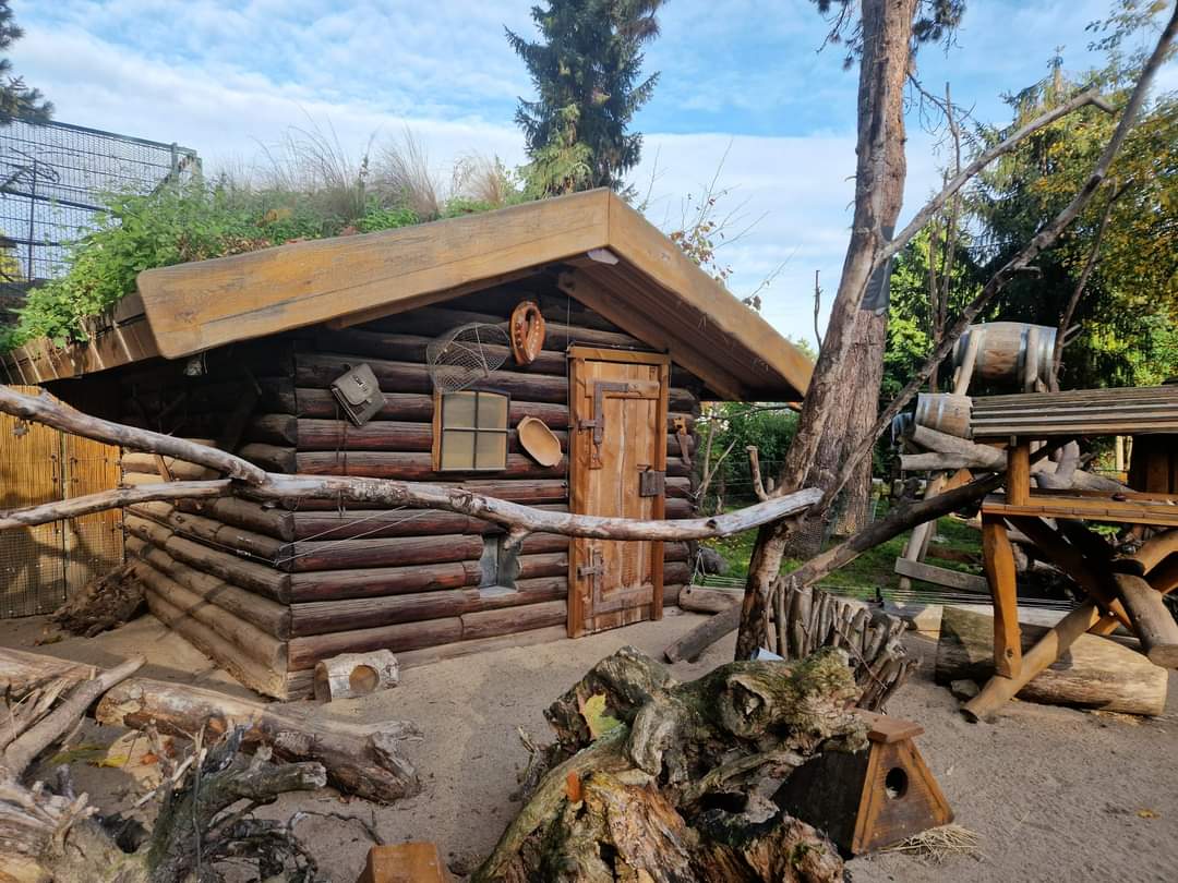 Eastern Spotted Skunk/ Virginia Opossum/North American Porcupine exhibit