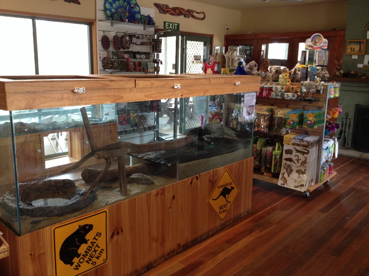 Eastern Water Dragon exhibit