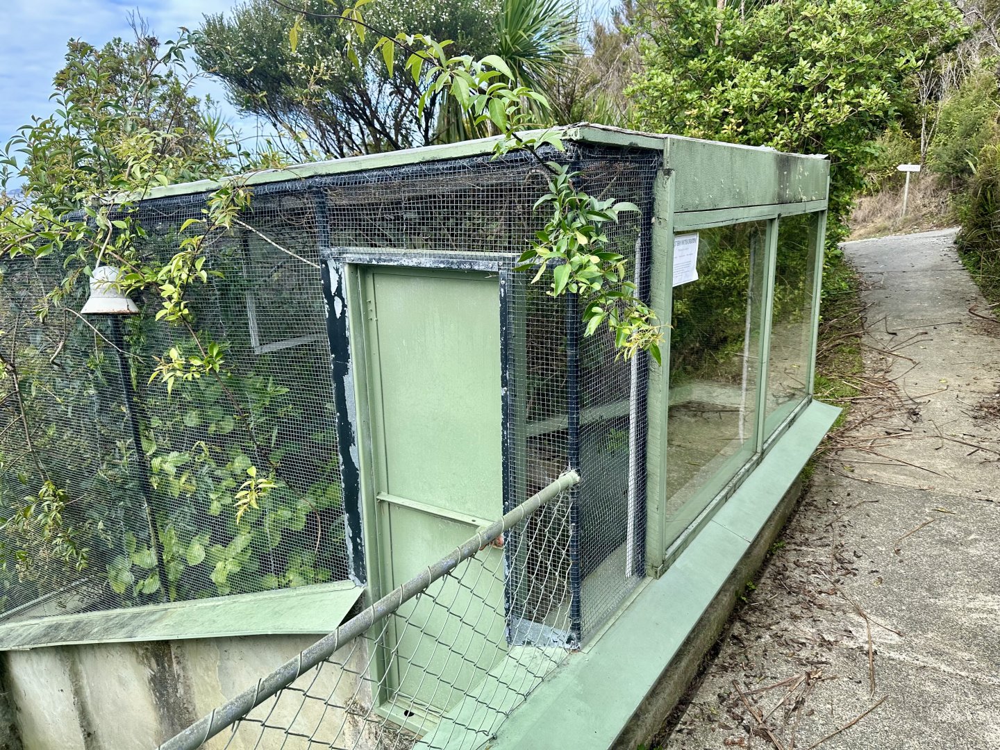 Eastern Water Dragon Exhibit