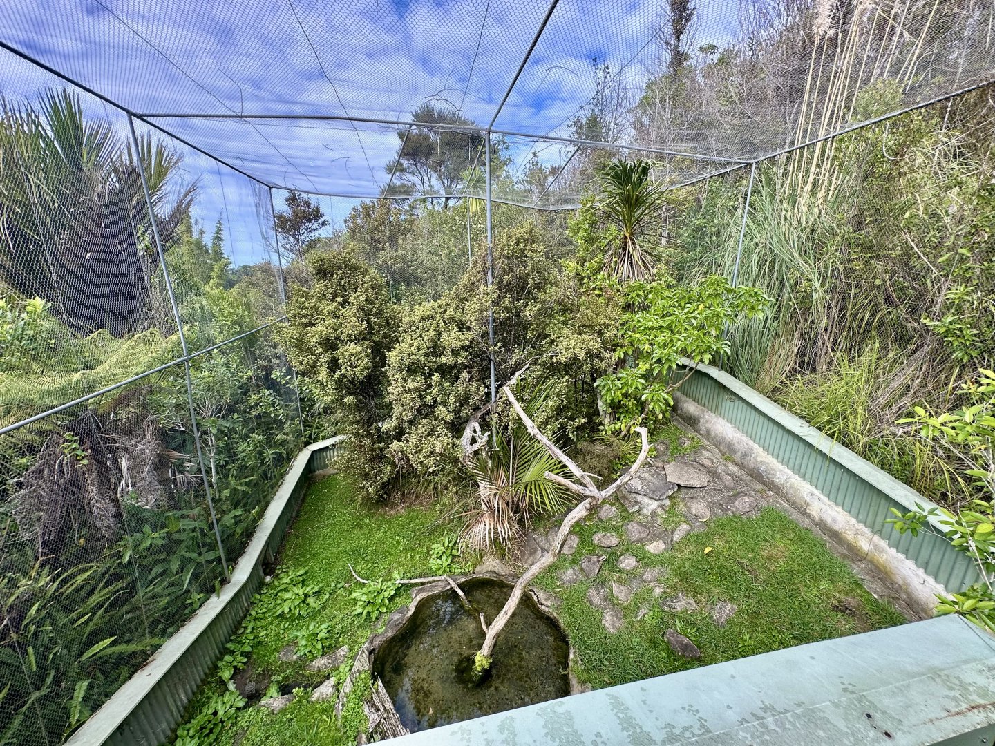Eastern Water Dragon Exhibit