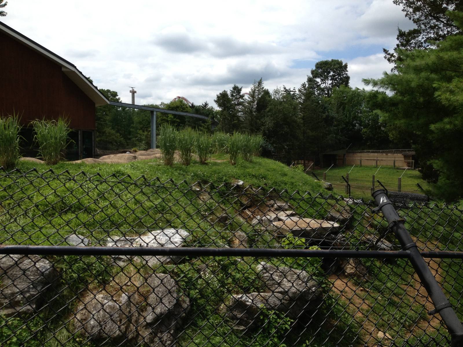Eastern Woodlands- Black Bear Exhibit