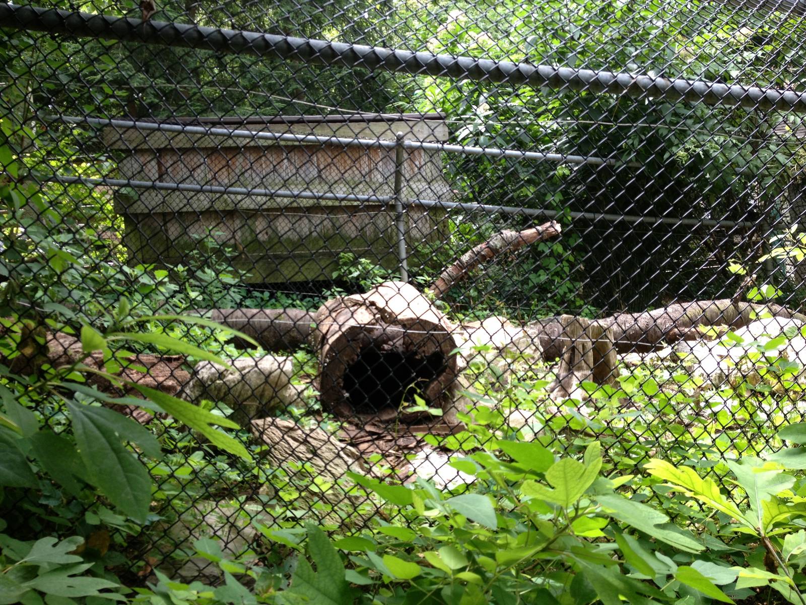 Eastern Woodlands- River Otter Exhibit