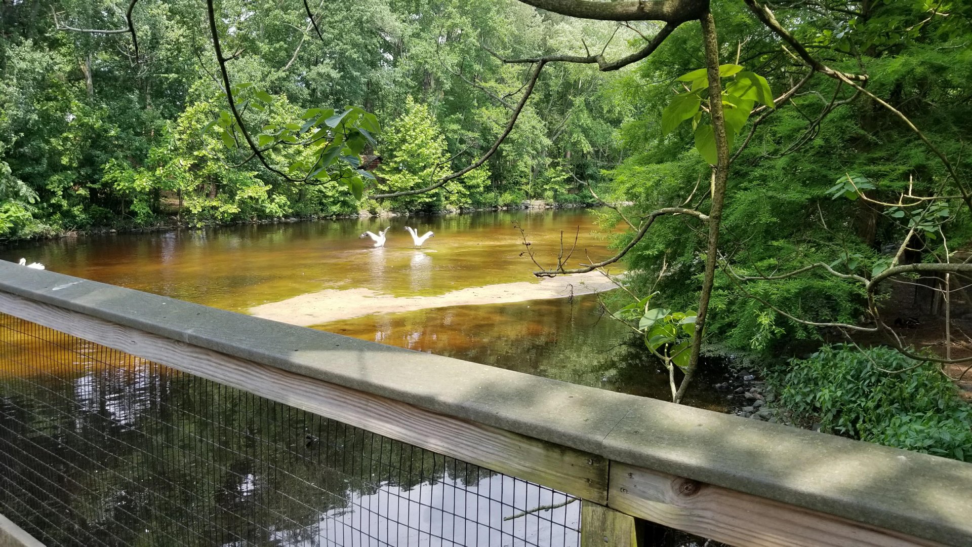 Eastward view from boardwalk