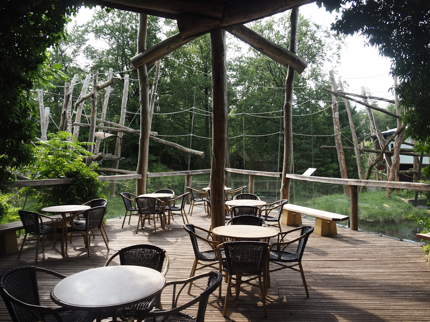 Eating and viewing area next to the Bornean orangutan islands, 2024-08-18
