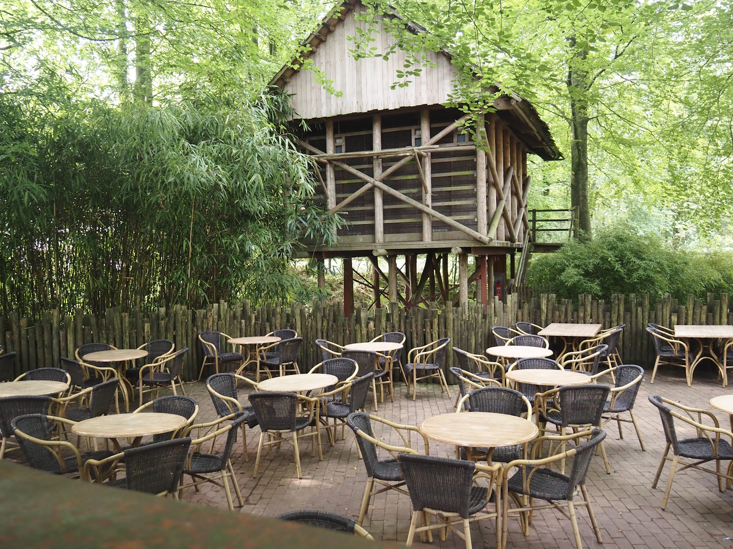 Eating area and part of the former petting zoo, 2024-08-18