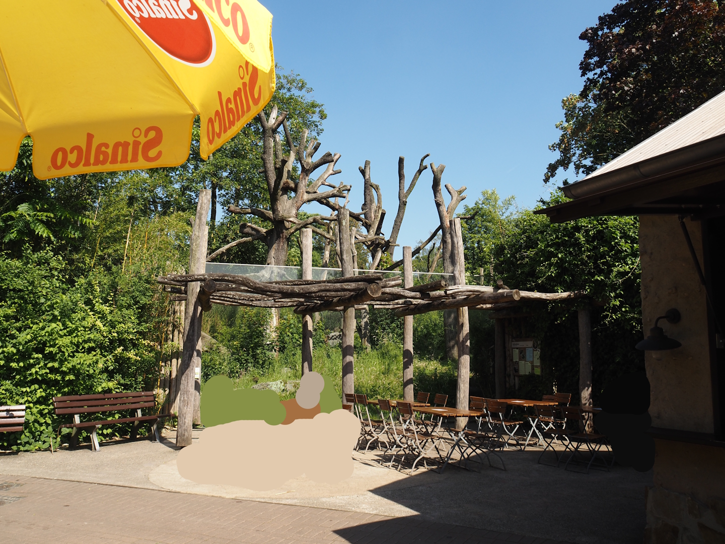 Eating area and viewing windows for spectacled bear exhibit next to Bärenkiosk snacks and drinks stand, 2024-06-08