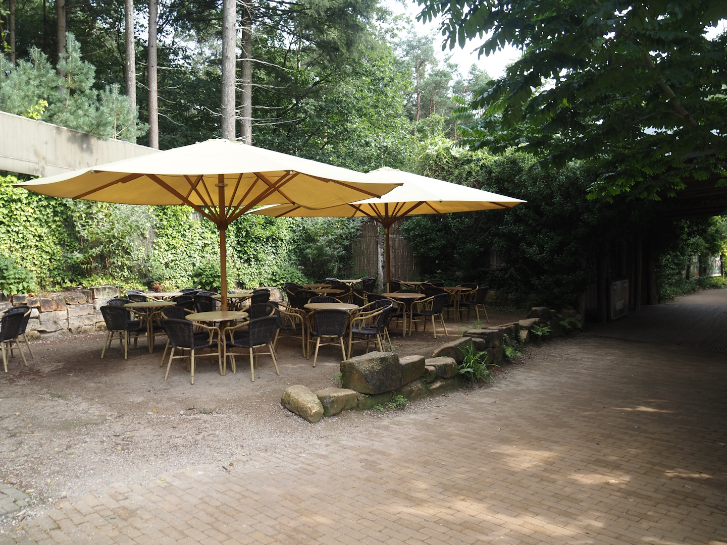 Eating area near the orangutan islands, 2024-08-18