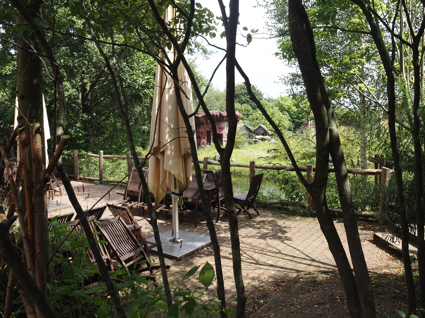 Eating area with view of chimpanzee island, 2024-08-05
