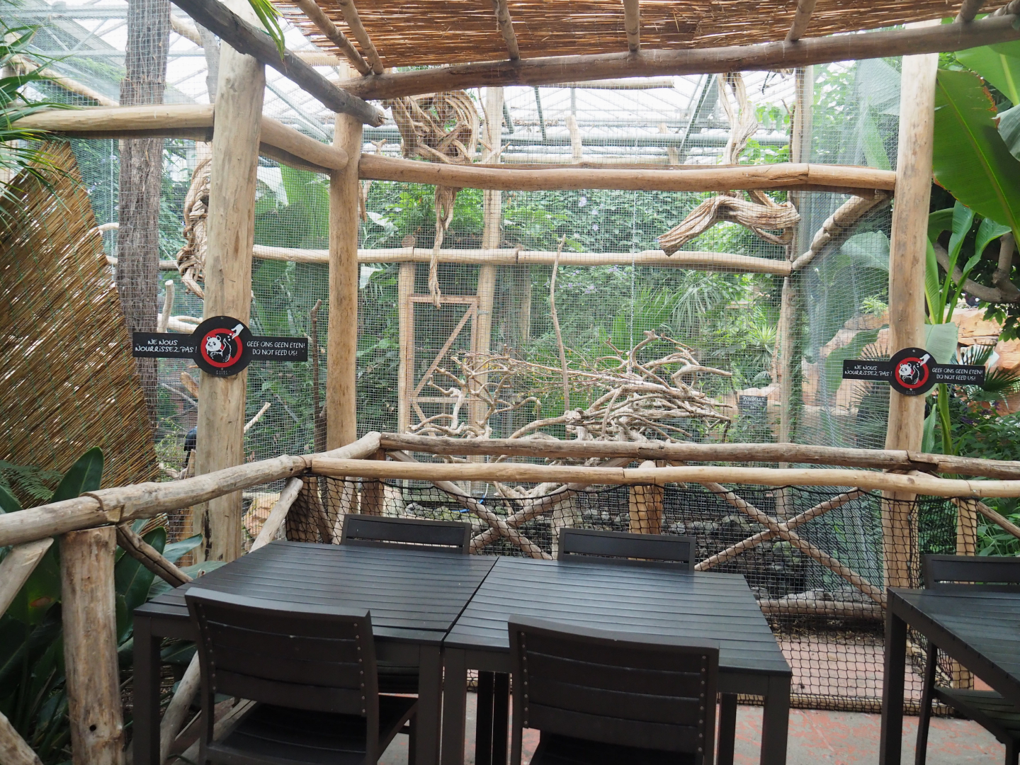 Eating area with view of Palm cockatoo aviary, 2022-09-14