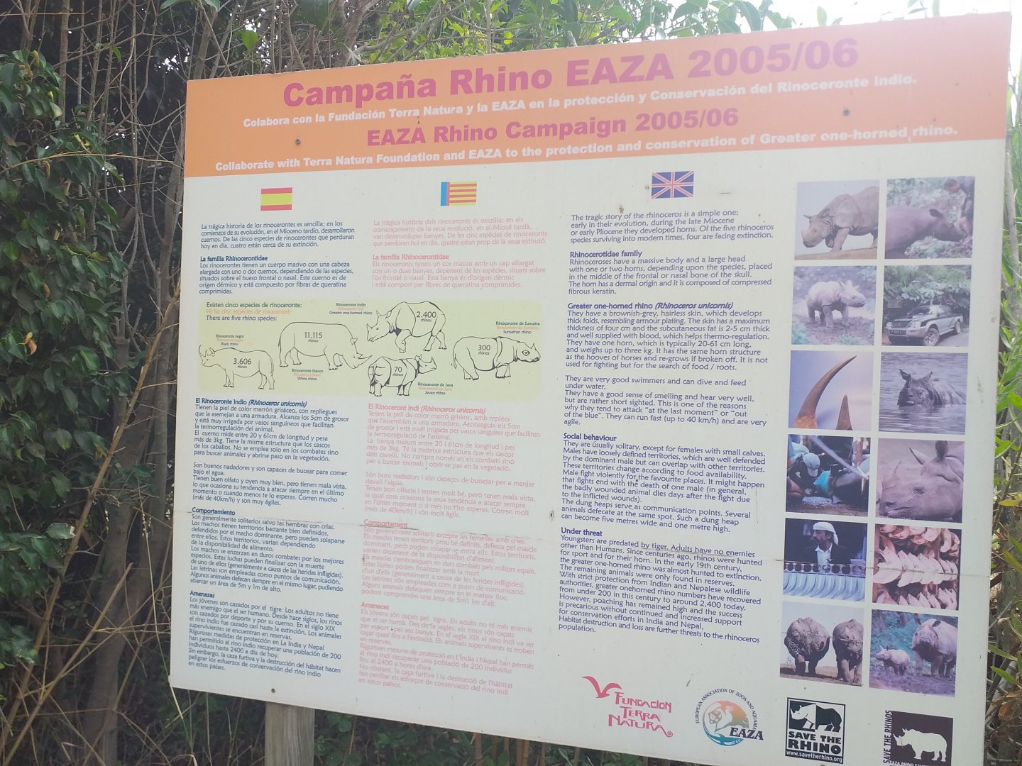 EAZA rhinoceros project (2005-2006) -TerraNatura Benidorm (2021)
