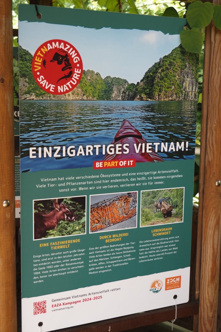 EAZA Vietnamazing campaign signage about threats to wildlife, 2024-08-05
