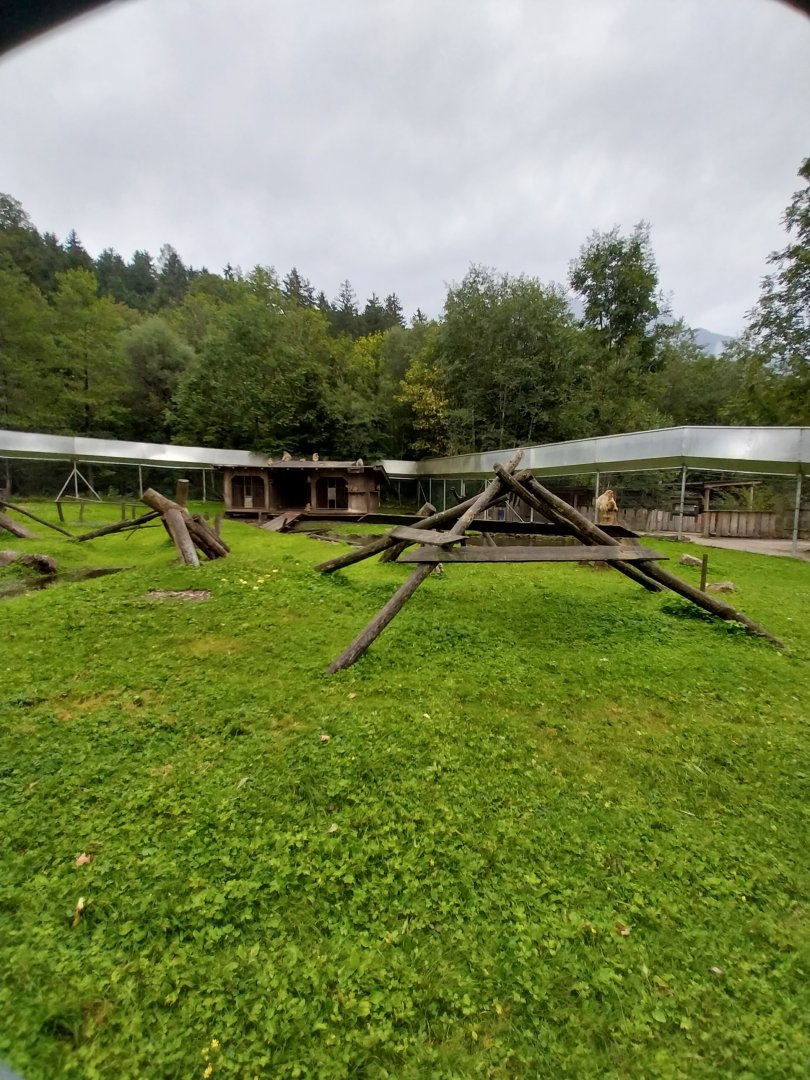 Ebbs Raritätenzoo - Barbary macaque enclosure