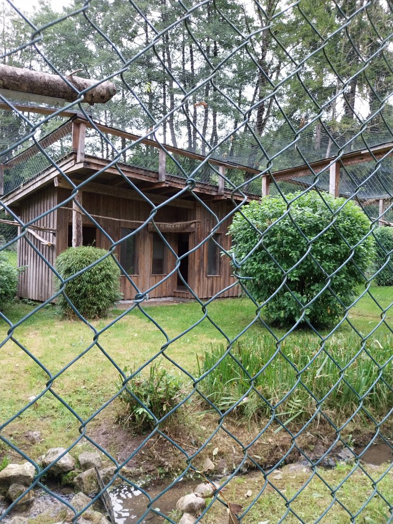 Ebbs Raritätenzoo - Bateleur aviary