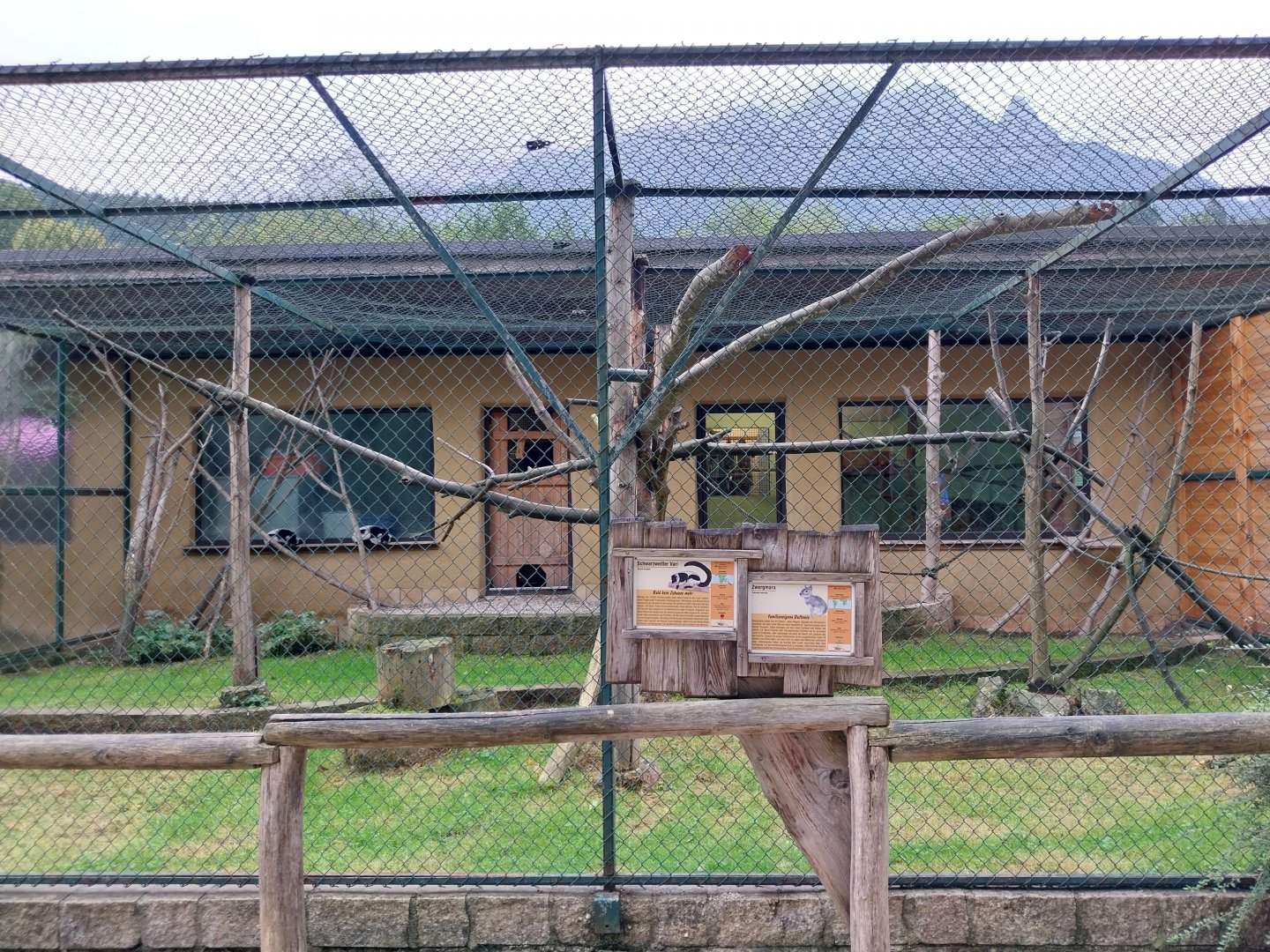 Ebbs Raritätenzoo - Black & white ruffed lemur and chacoan mara enclosure