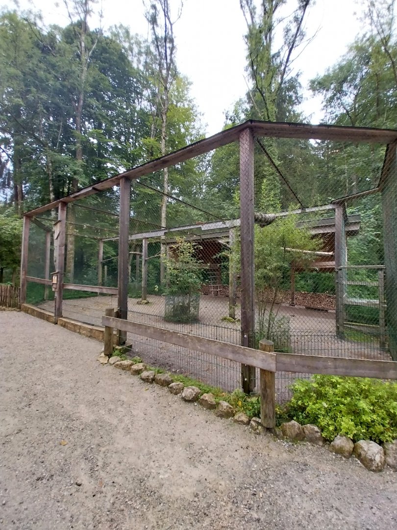 Ebbs Raritätenzoo - European eagle owl aviary