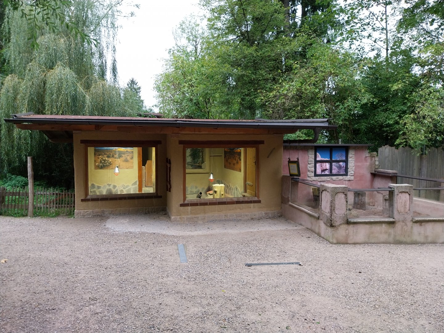 Ebbs Raritätenzoo - Meerkat enclosure